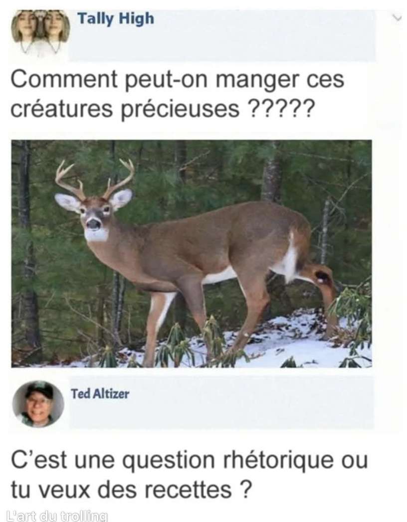 Miam le civet 🤭
