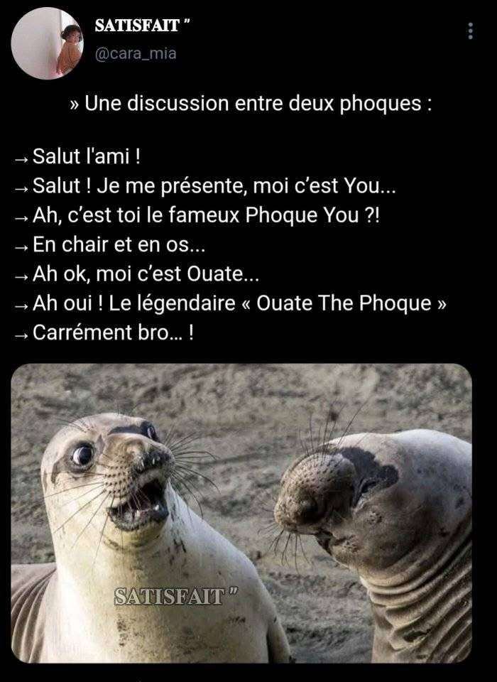 La l&eacute;gende raconte qu&rsquo;il on rencontrer la c&eacute;l&egrave;bre 
Mother phoque