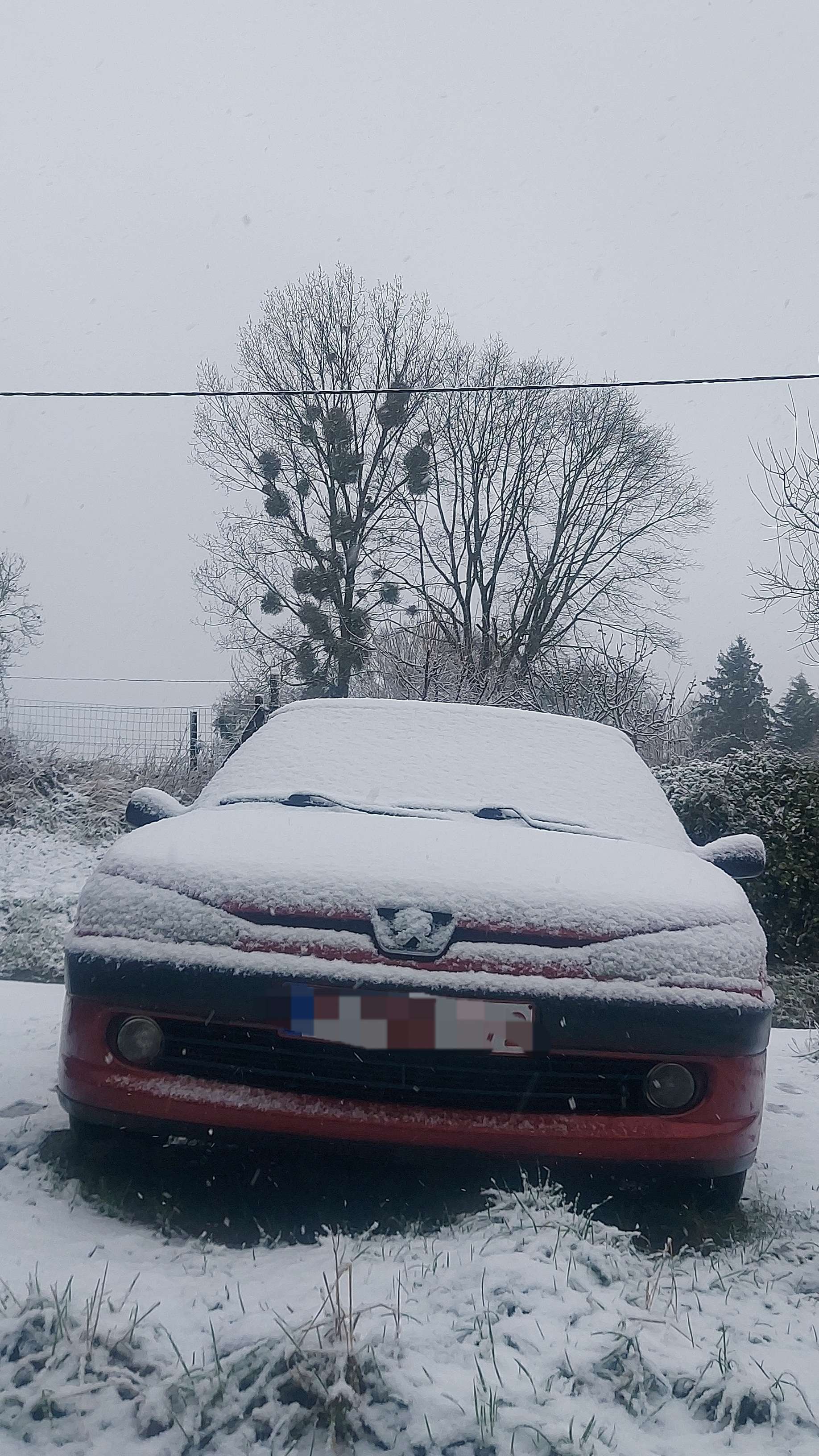 🌨❄️😍