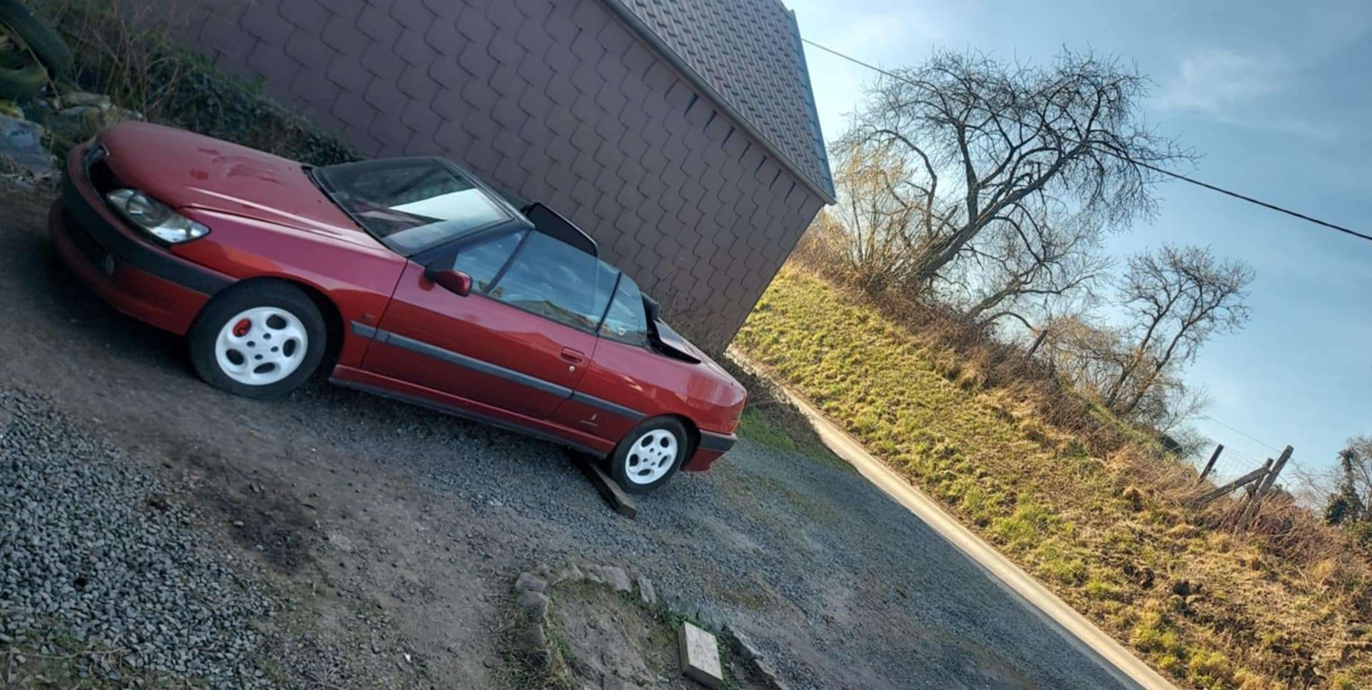 🤩