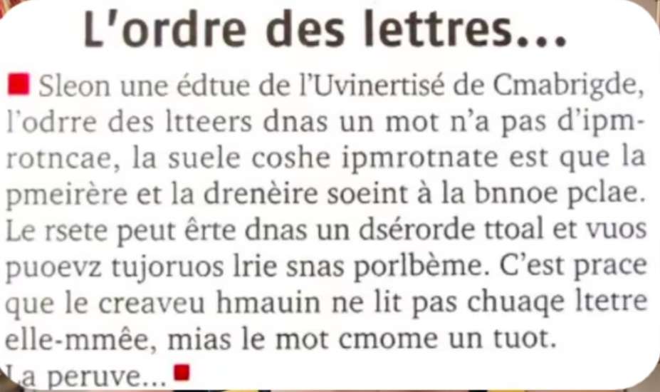 Le cerveau est si simple