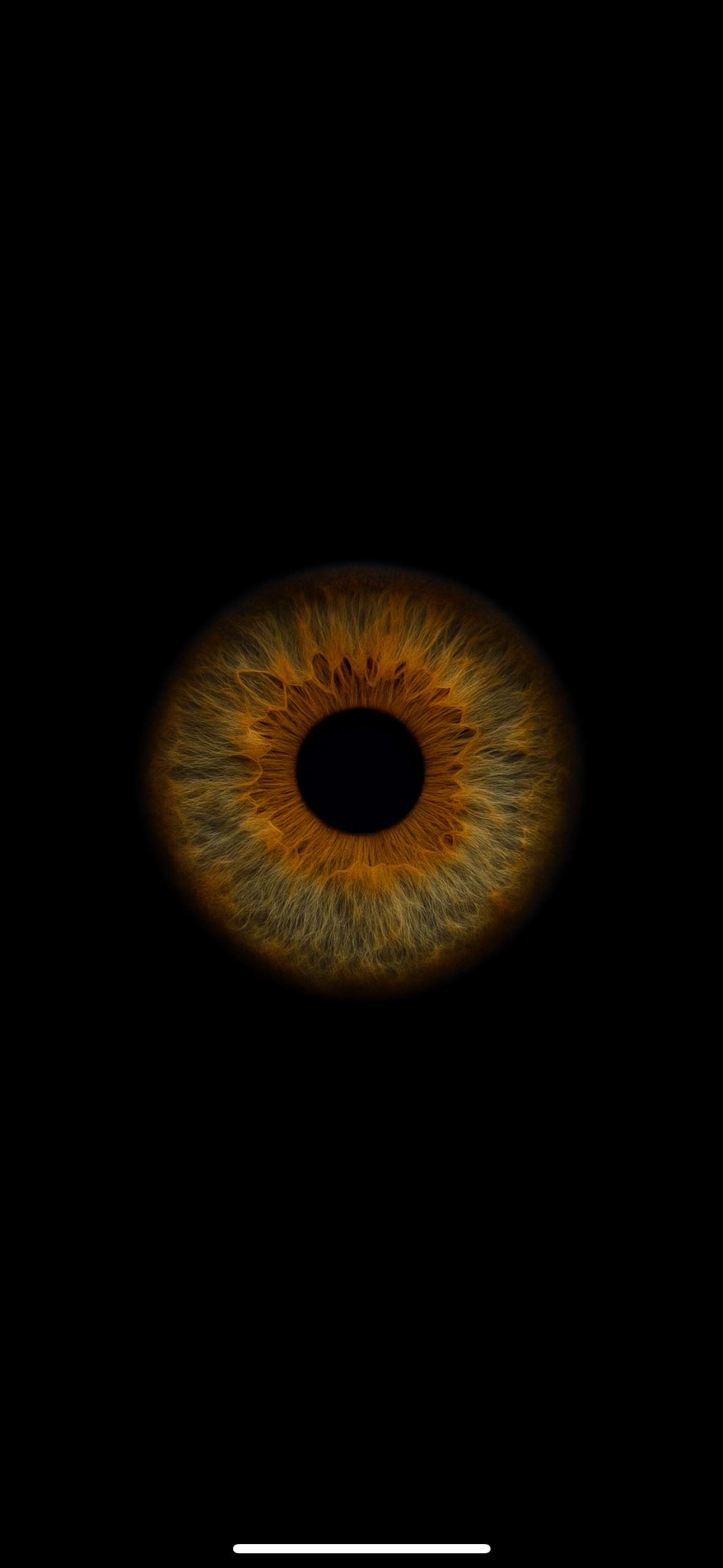 #iris #trend 👁️