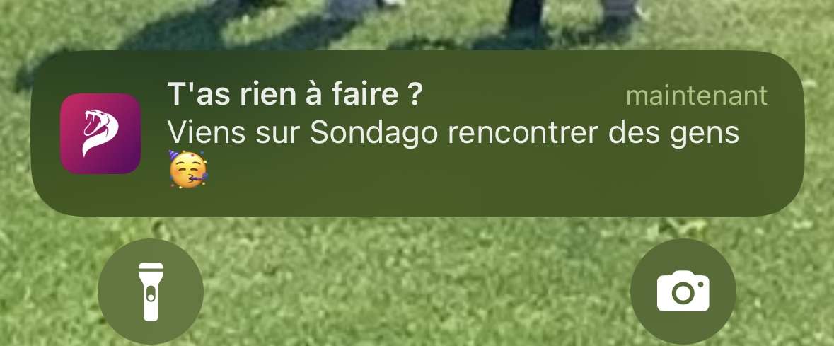 Je d&eacute;co y&rsquo;a 2 min que j&rsquo;ai d&eacute;j&agrave; cette notif, laisse moi trql