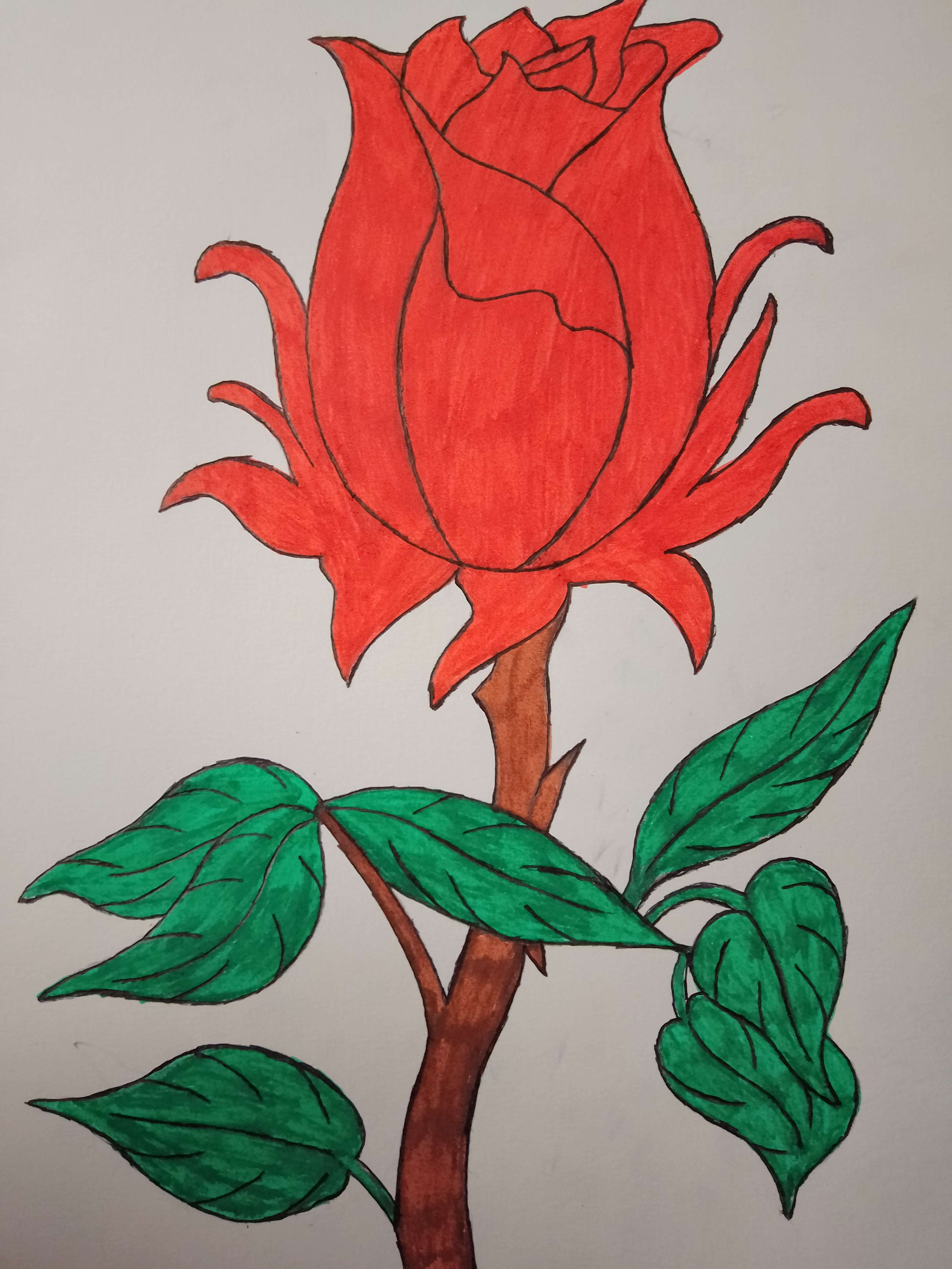 Je me d&eacute;brouille bien en dessin n'est pas ?
