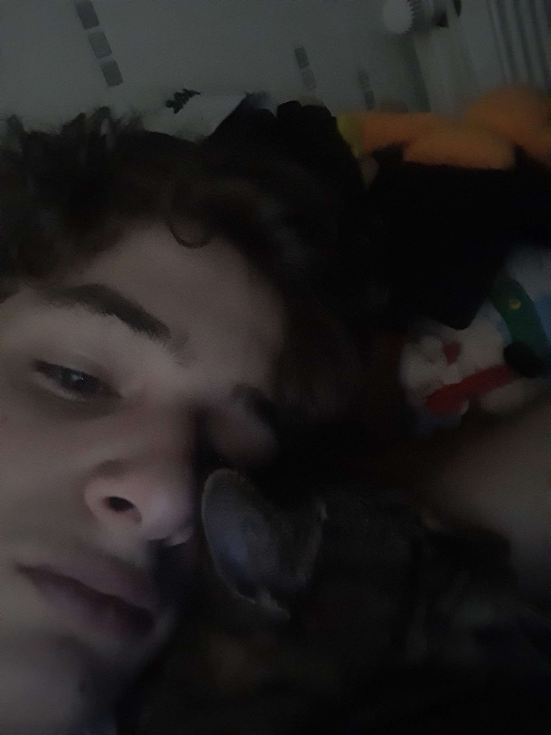 moi et mon chat