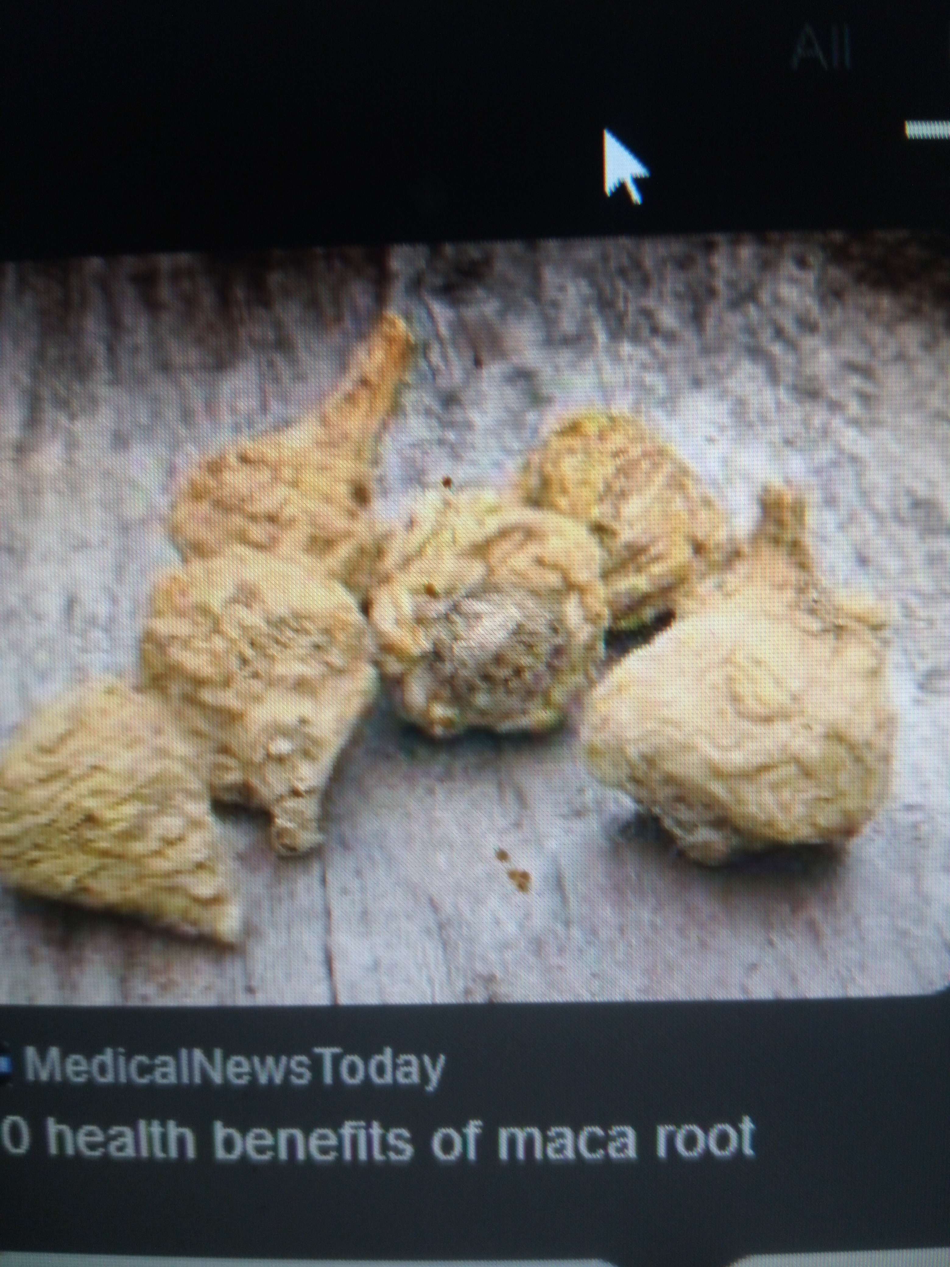 Le maca une plante aromatique du Br&eacute;sil et m&eacute;dicinales aussi on utilise en cuisine br&eacute;silienne que la racine comme pour le gingembre elle les canathogene pour les femme et aussi tonique aussi aphrodisiaque associ&eacute; avec du gingembre sa devient tr&egrave;s fort