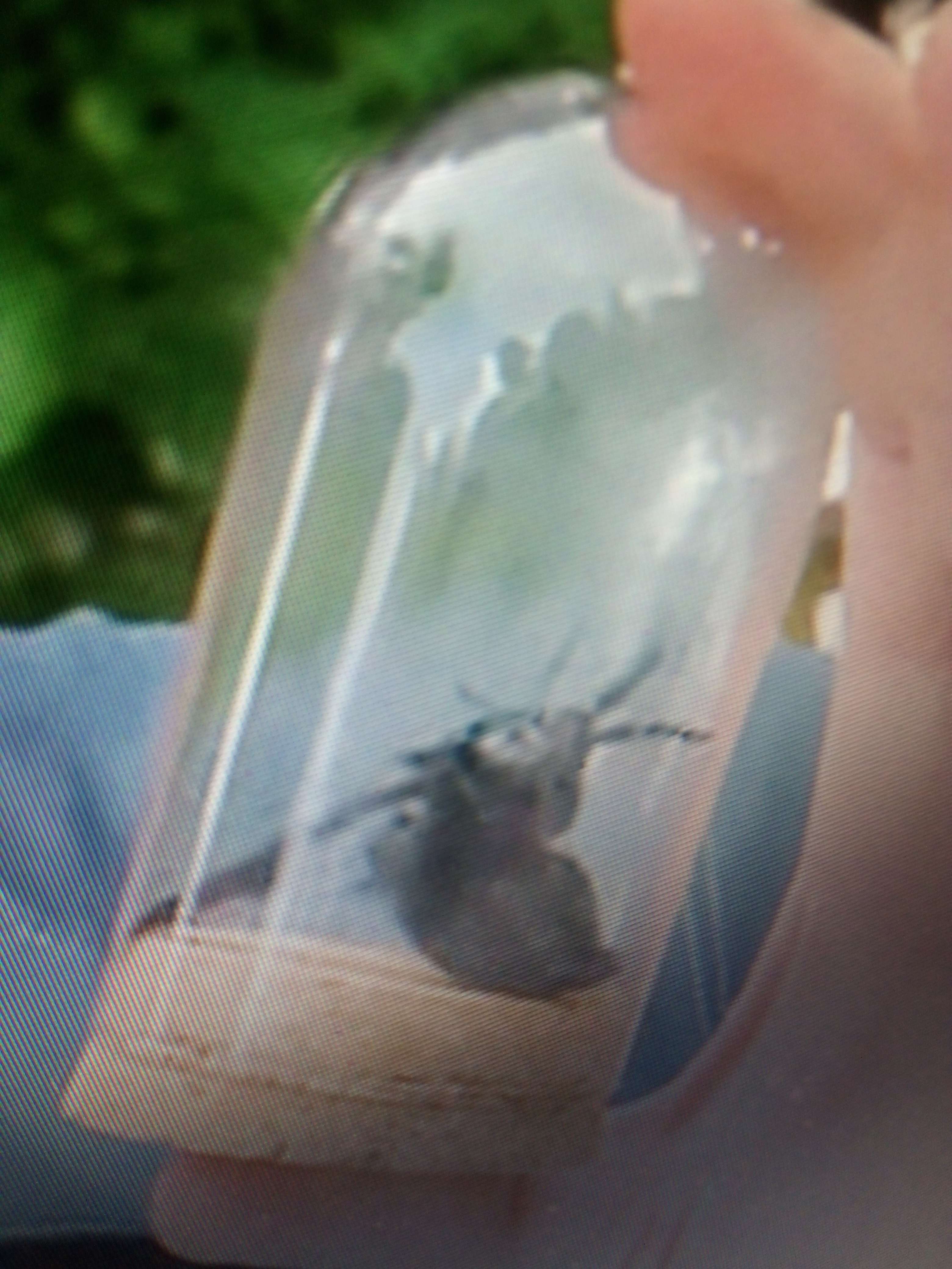 La grosse abeilles noire elle vie dans les pays chaud la m&ecirc;me que la bleue elle est plus grosse et agressif sa pique une seul fois causant inflammation important et une gonfl&eacute; plus important parfois le bras entier par sa pique