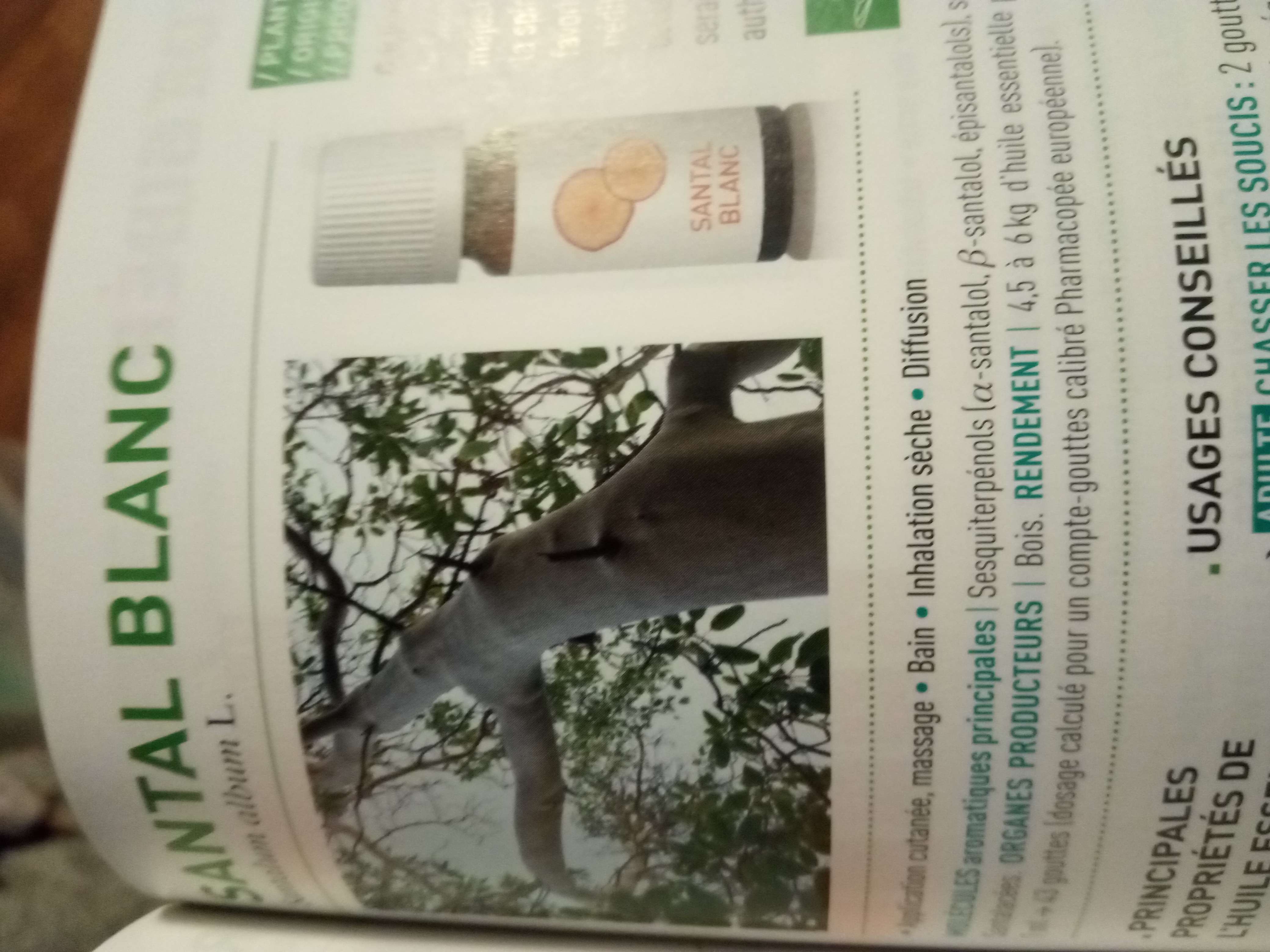 Huiles essentielles de santal blanc originaire de Afrique un grand arbre a son odeur reconnaissable on distille &eacute;corce ou on fait mac&eacute;r&eacute; la save dans de alcool elle est calmant s&eacute;datif relaxant anti d&eacute;prime anti soucis anti ride aphrodisiaque attention elle est photosensible et pas pendant la grossesse et en cas de cancer du syst&egrave;me reproducteur et pas au enfants de moins de 12 ans