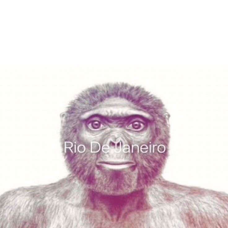 moi parce que mtn j&rsquo;ai spotify mais mes airpods ont plus de batterie 
#singe