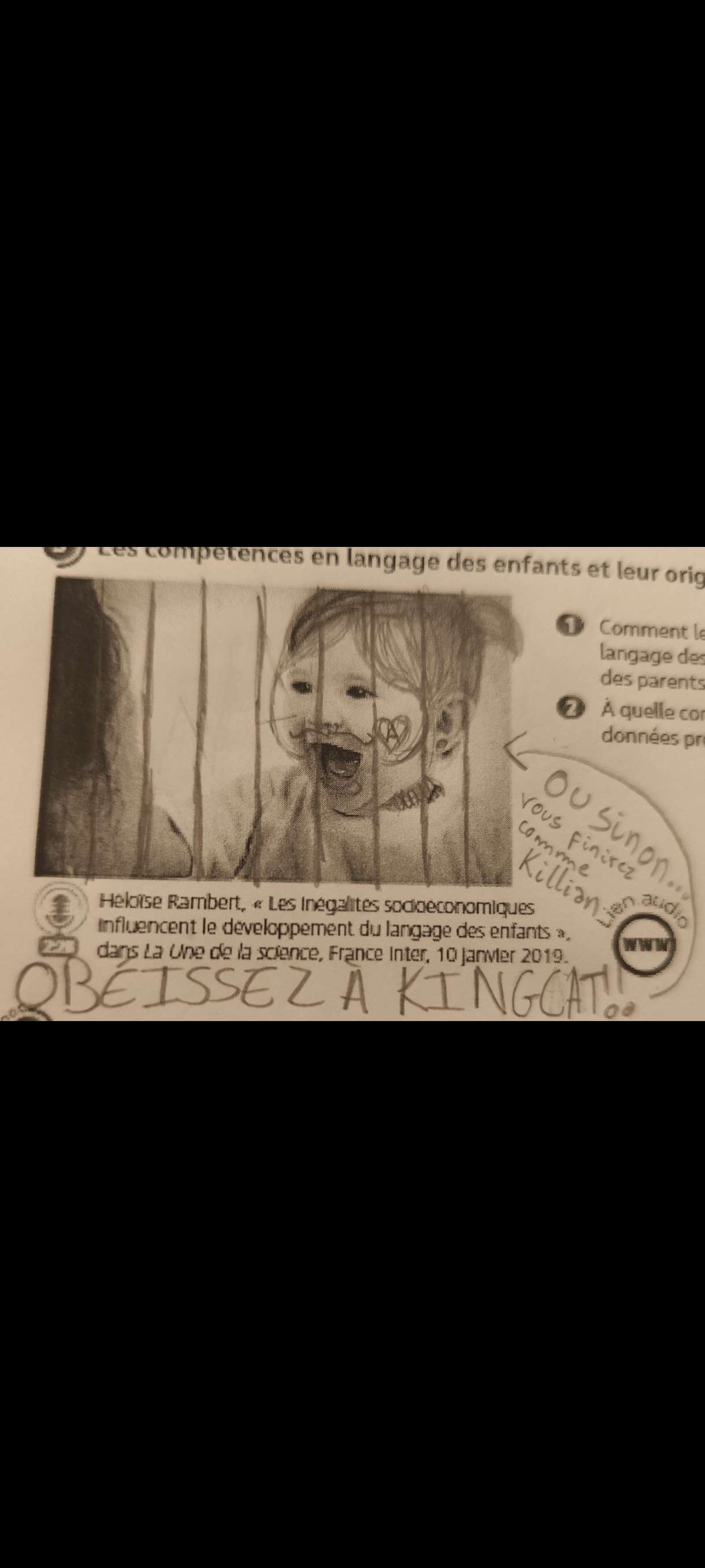 Miaou #catland #catlande #Catland