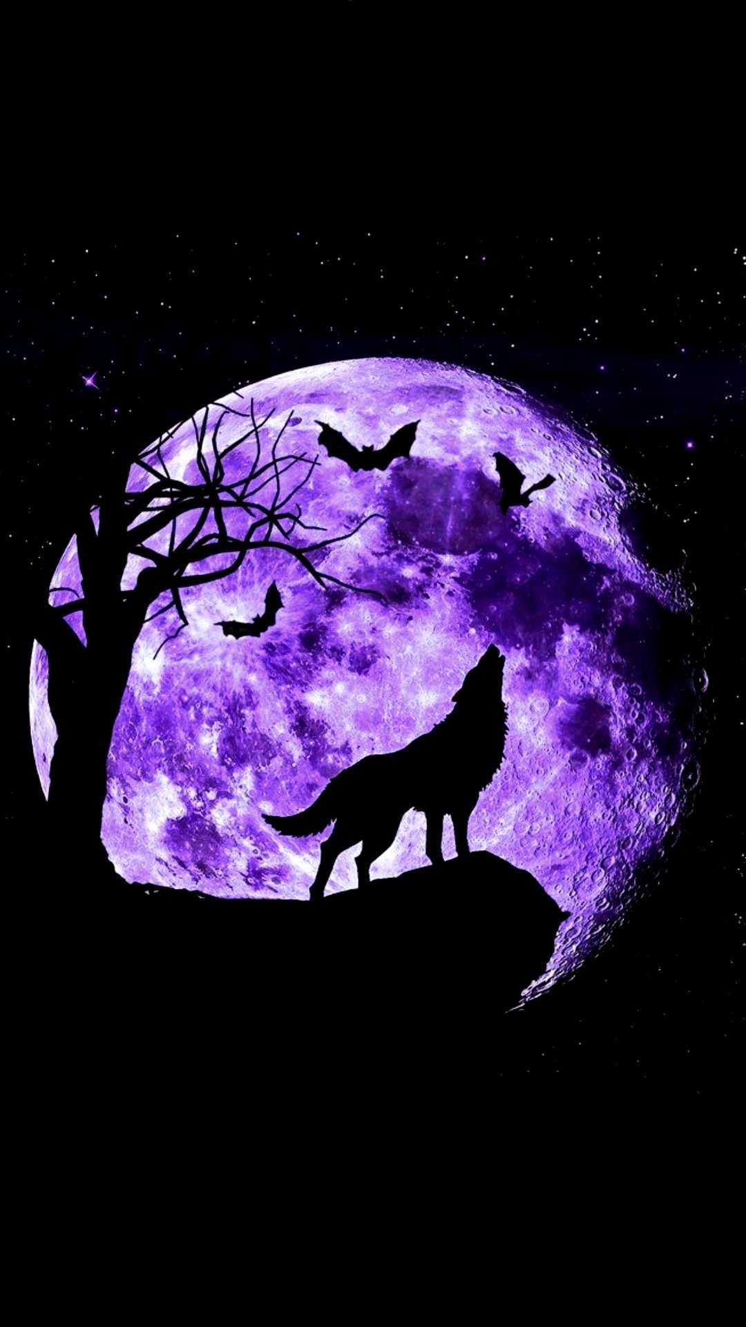 #loup #loba #wolf