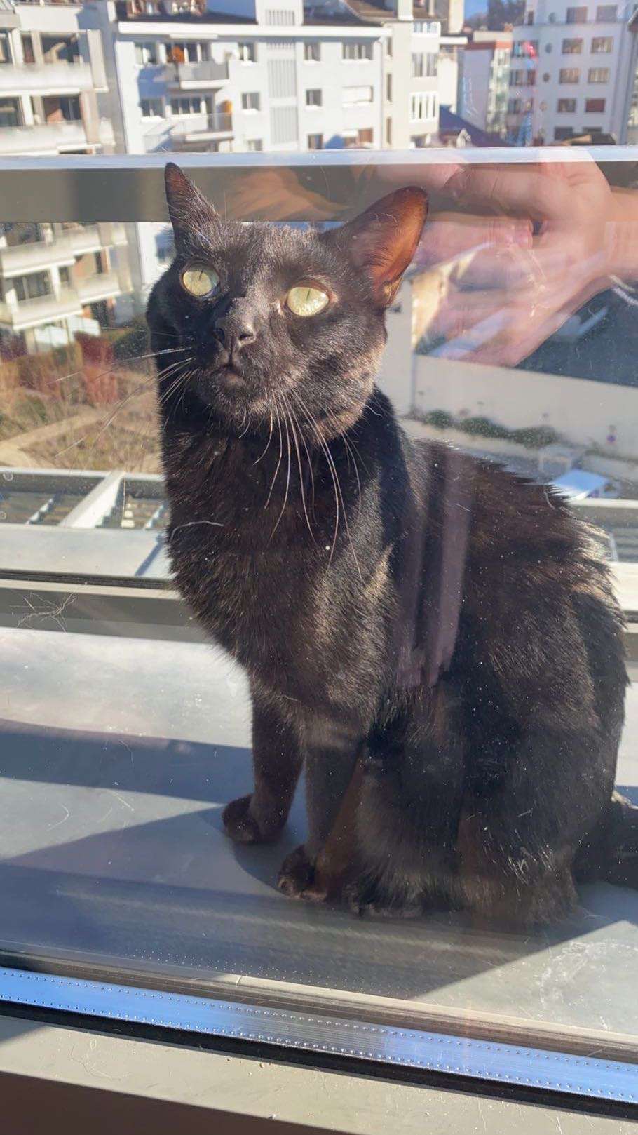Mon amour 😍 

c&rsquo;est quoi vos animaux vous ?