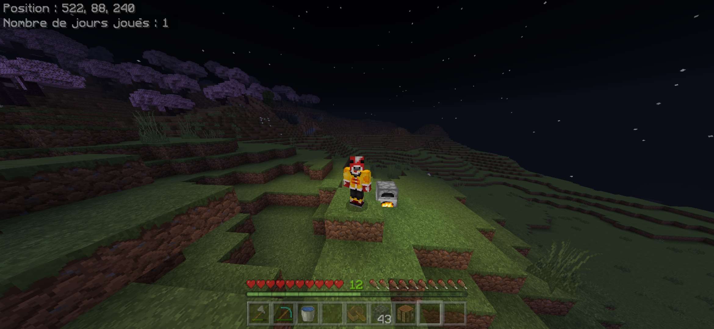 J'ai le meilleur skin minecraft c'est une dinguerie