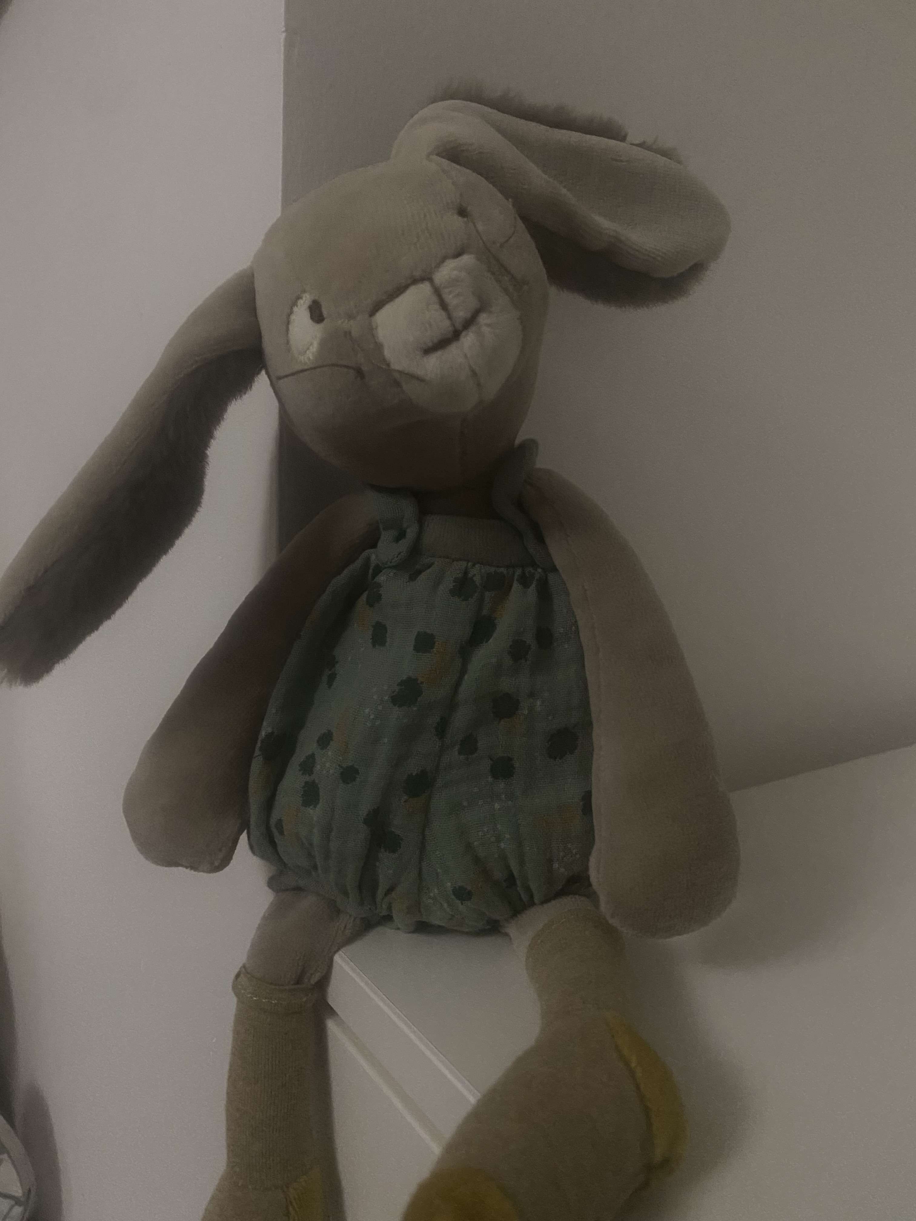 On a critiqu&eacute; mon doudou du coup je vous le montre