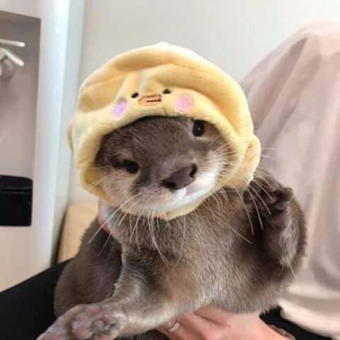 Regardez sa bouille d&rsquo;amour 🫶🏻