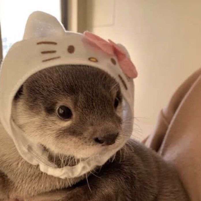 Avec son bonnet hello kitty c&rsquo;est encore plus chou 😍😍