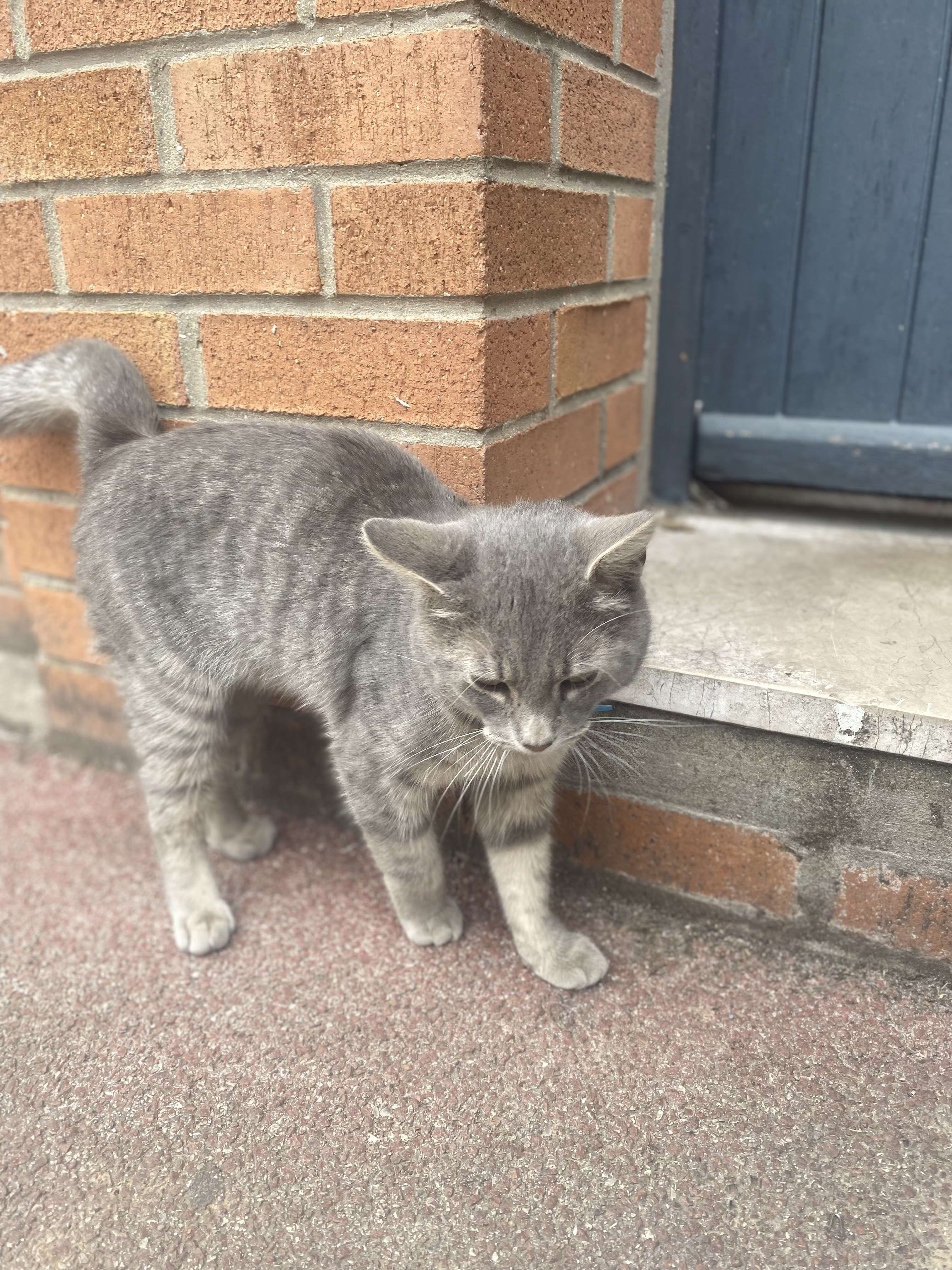 Moi je m&rsquo;arr&ecirc;te dans la rue que pour &ccedil;a 🥰