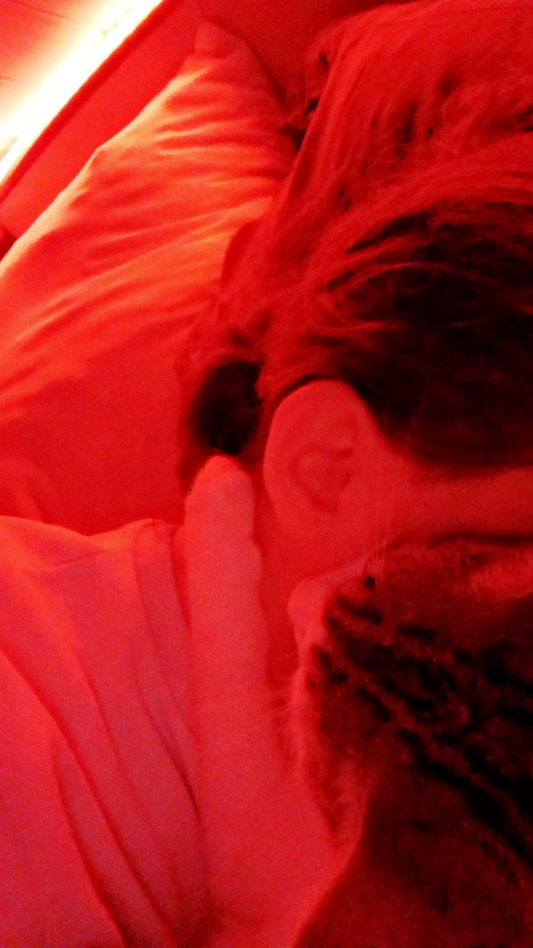Sa me fume comment mon chat dort avec moi