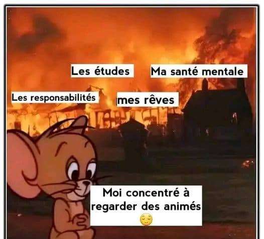 ( l'image qui r&eacute;sume ma vie 🤣🤣)