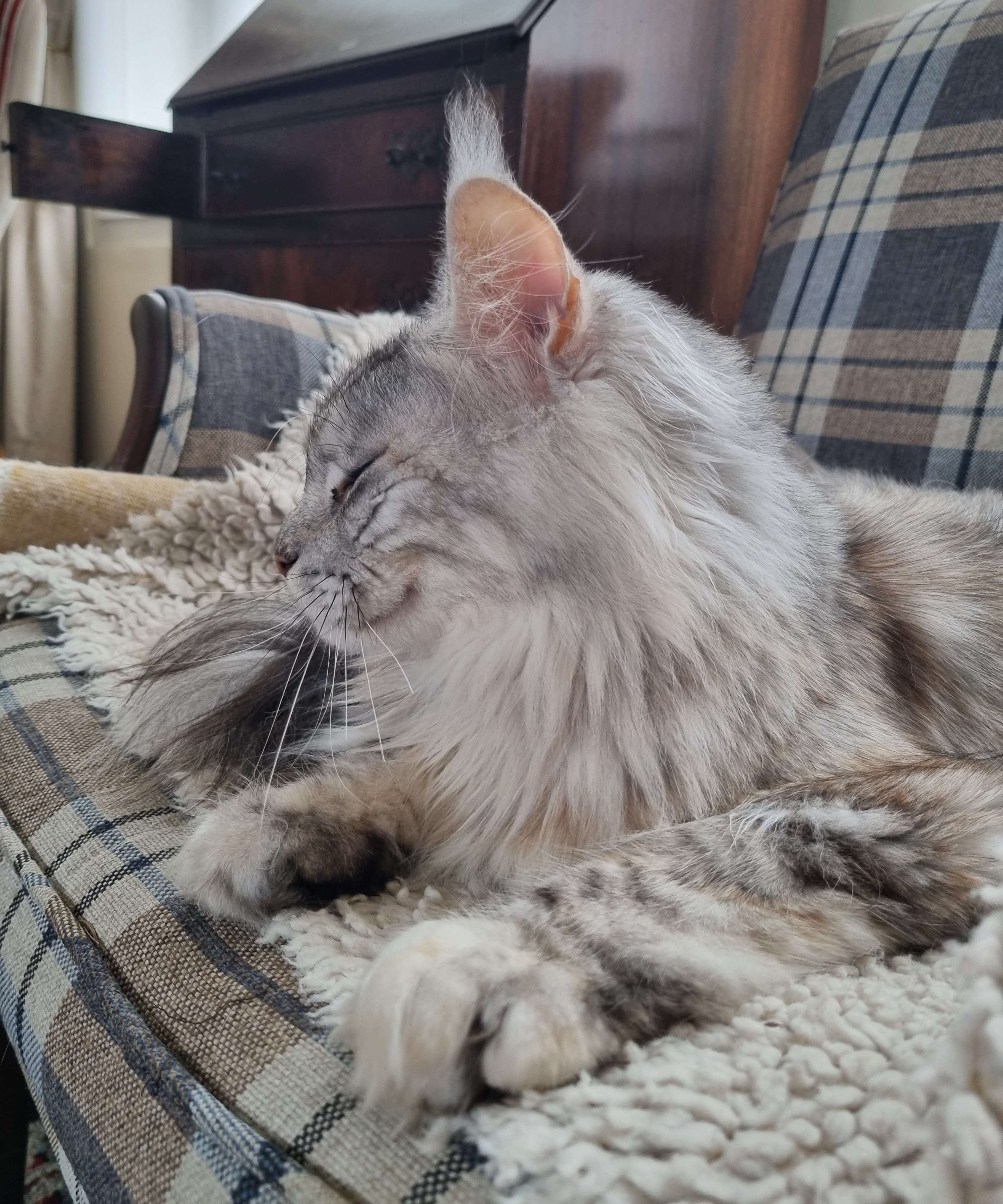 ma petite minette d'amour toute mignonne, toute douce, que j'aime de tout mon c&oelig;ur😍😍🥰🥰🥰