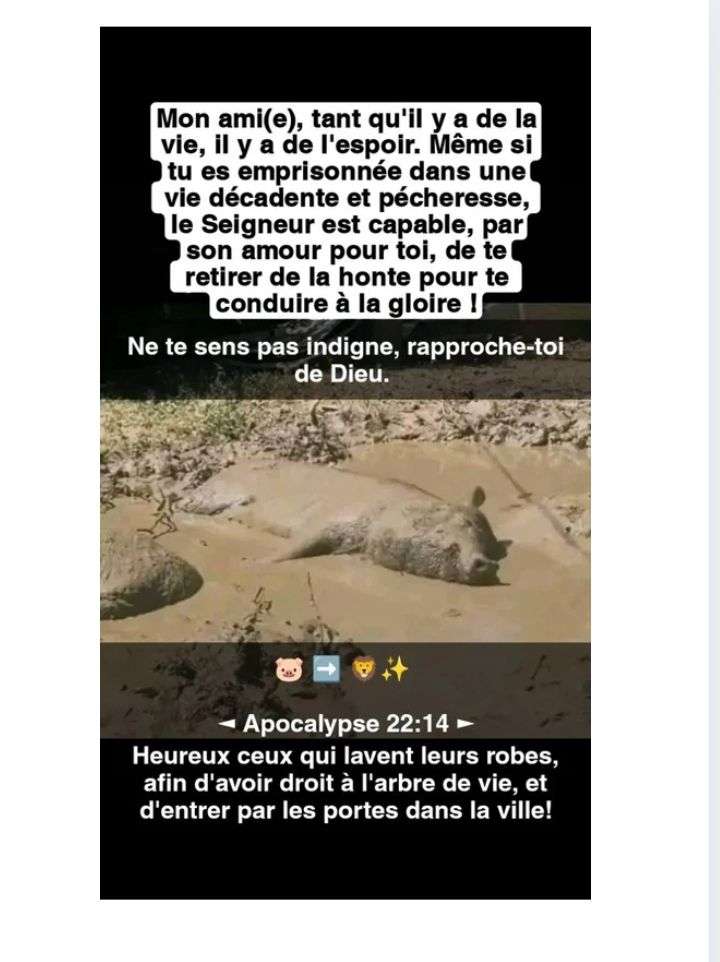 Luc 4 : 18 -29 ✓<< l'Esprit du Seigneur est sur moi,il m'a consacr&eacute; pour apporter la Bonne Nouvelle aux pauvres. Il m'a envoy&eacute; pour proclamer la d&eacute;livrance aux prisonniers et le don de la vue aux aveugles, pour lib&eacute;rer les opprim&eacute;s, et annoncer l'ann&eacute;e o&ugrave; le Seigneur manifestera sa faveur. >>