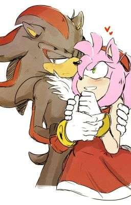 Moi et ma future Amy Rose 🩷🥰
