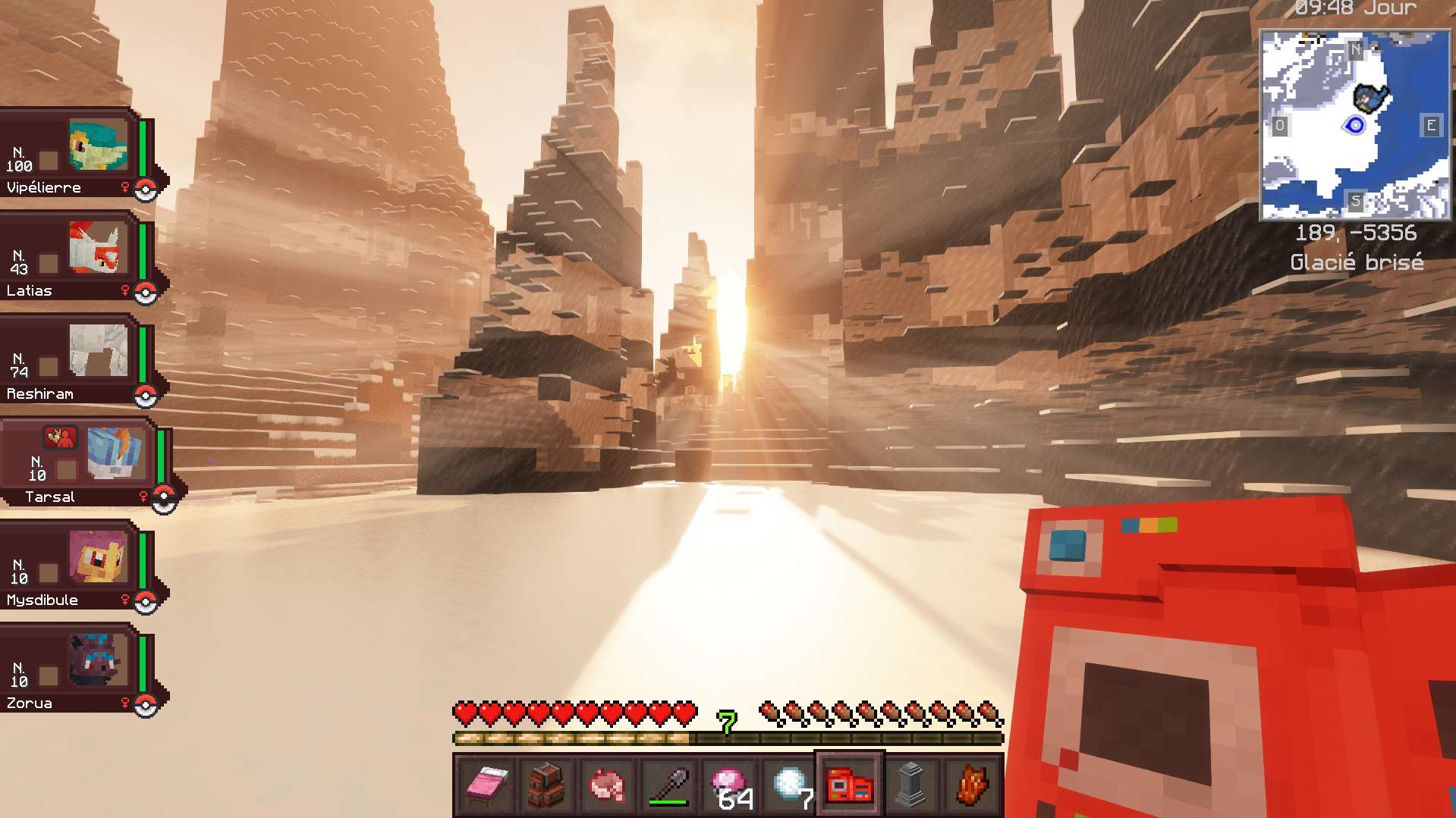 De toute beaut&eacute;.

#jeux  #minecraft  #tuvasbien #juvamine #pokemon
