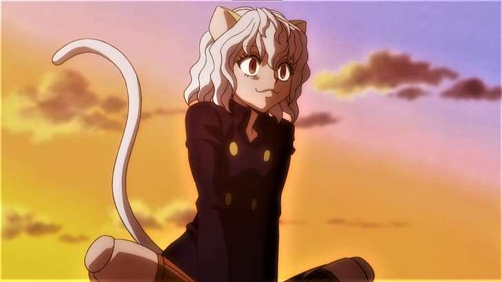 Mon perso pr&eacute;f de Hunter x Hunter.