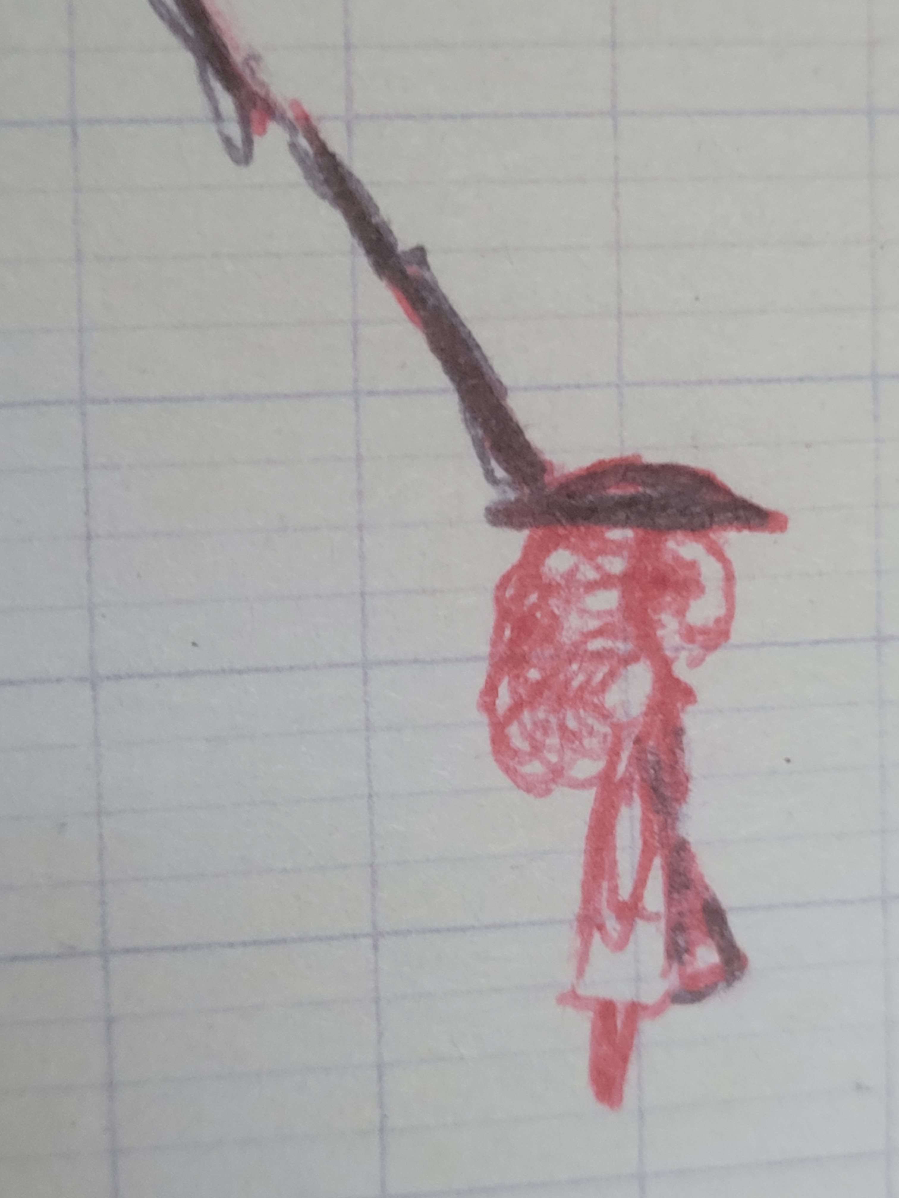J'ai retrouv&eacute; mon vieux cahier de brouillon qui date de 2019. (ᗜv ᗜ)