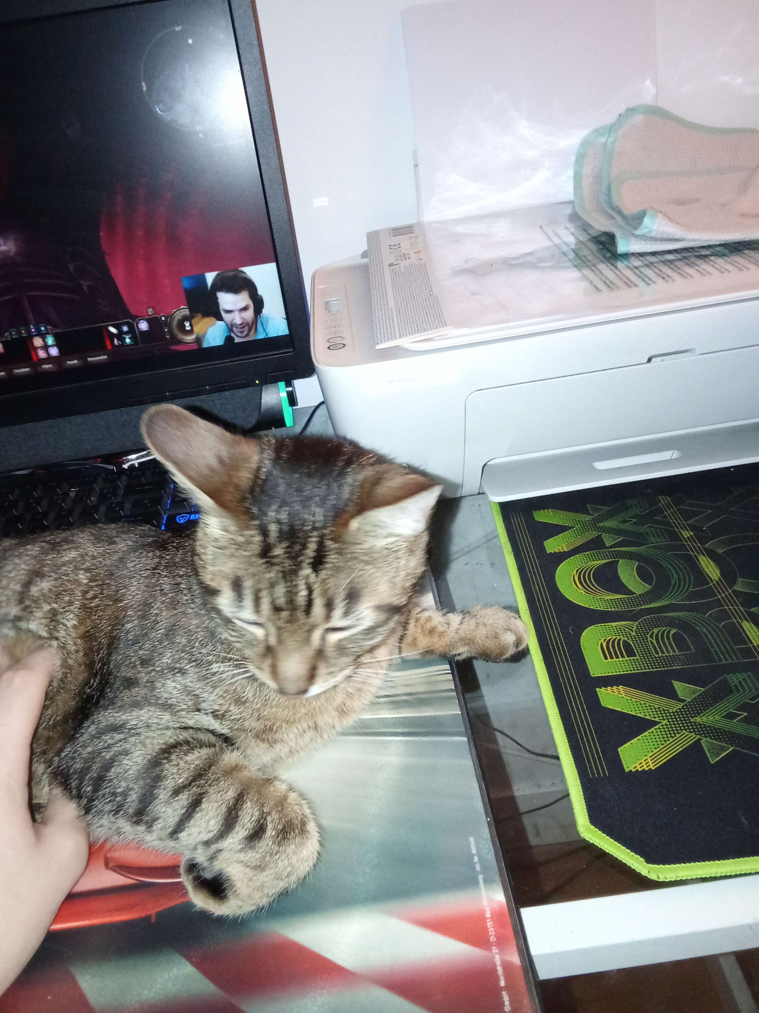 Il est trop mignon mon chat 🫠