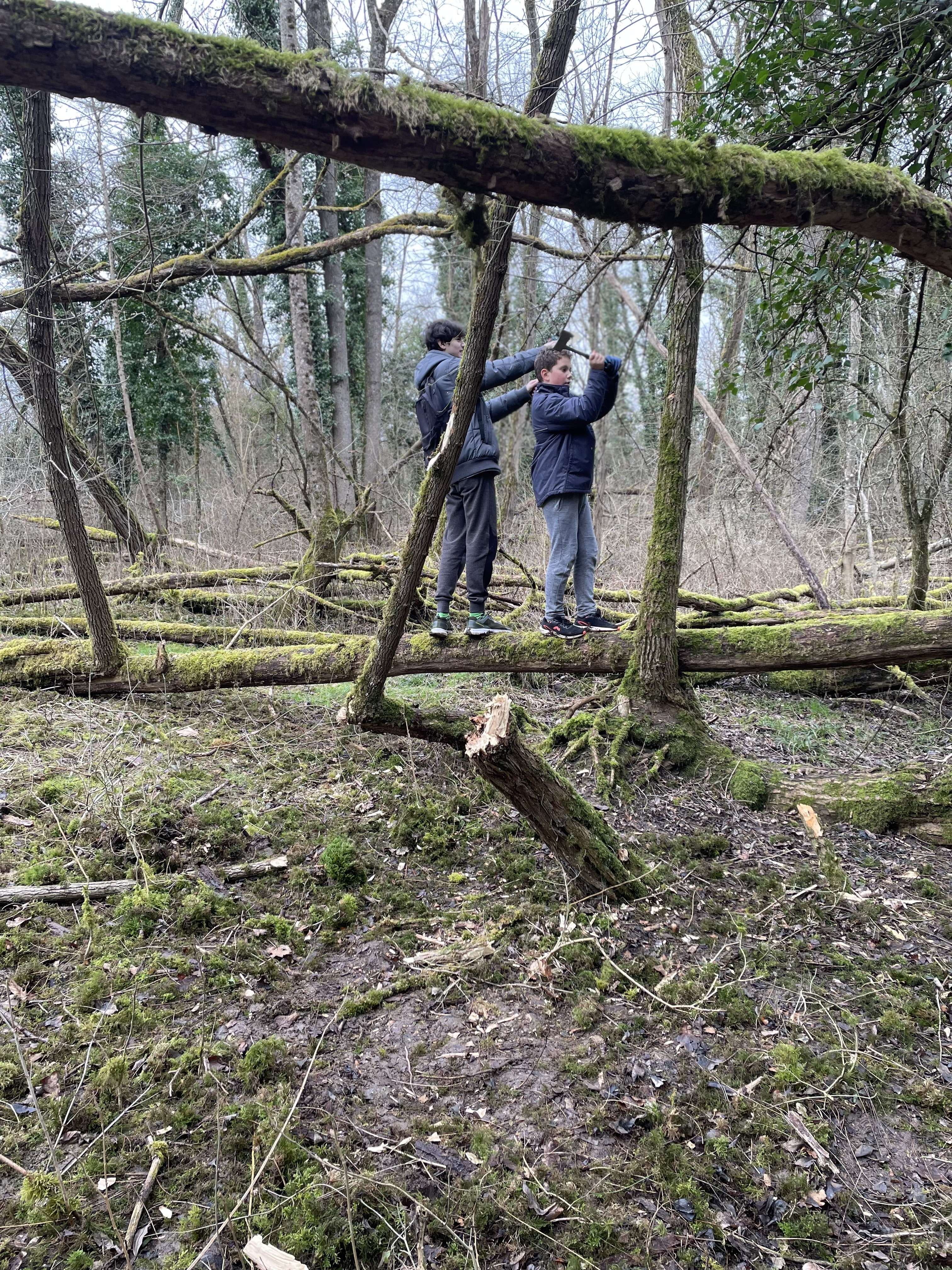 Mdr,il veulent faire une cabane,Il vont vite fait abandonner.