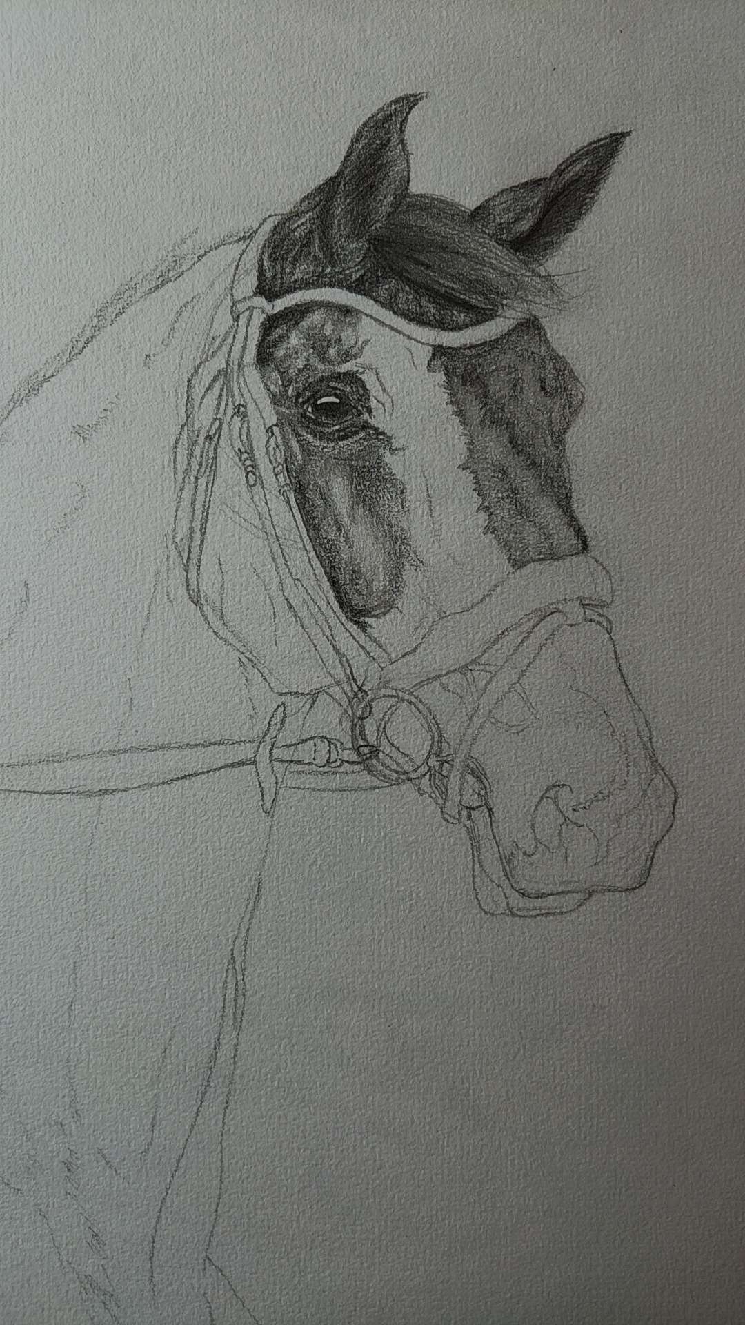 Vous en pensez quoi je suis sceptique
#dessin #horse