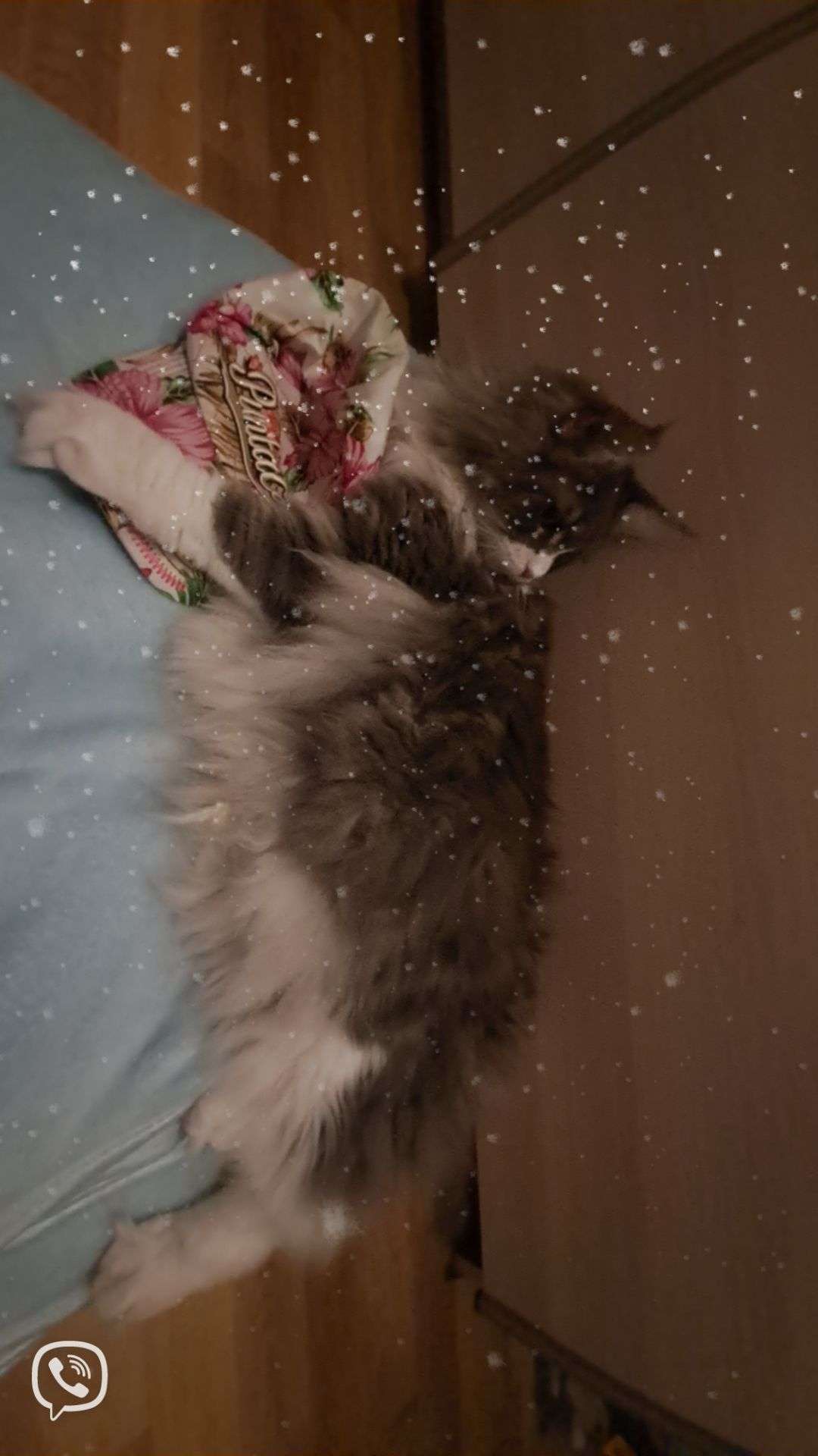 Vous aim&eacute; la photo