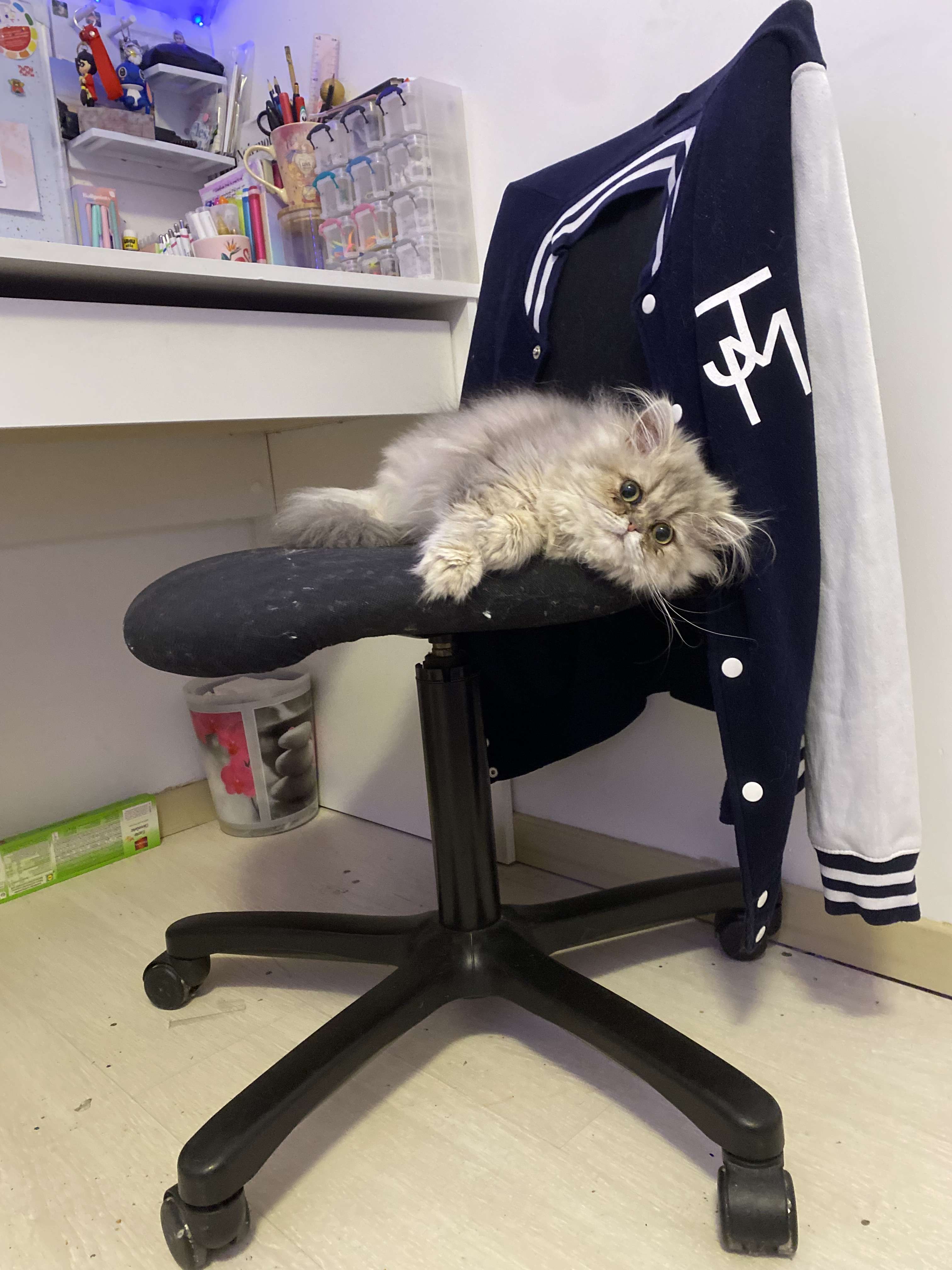 Mon petit b&eacute;b&eacute;
