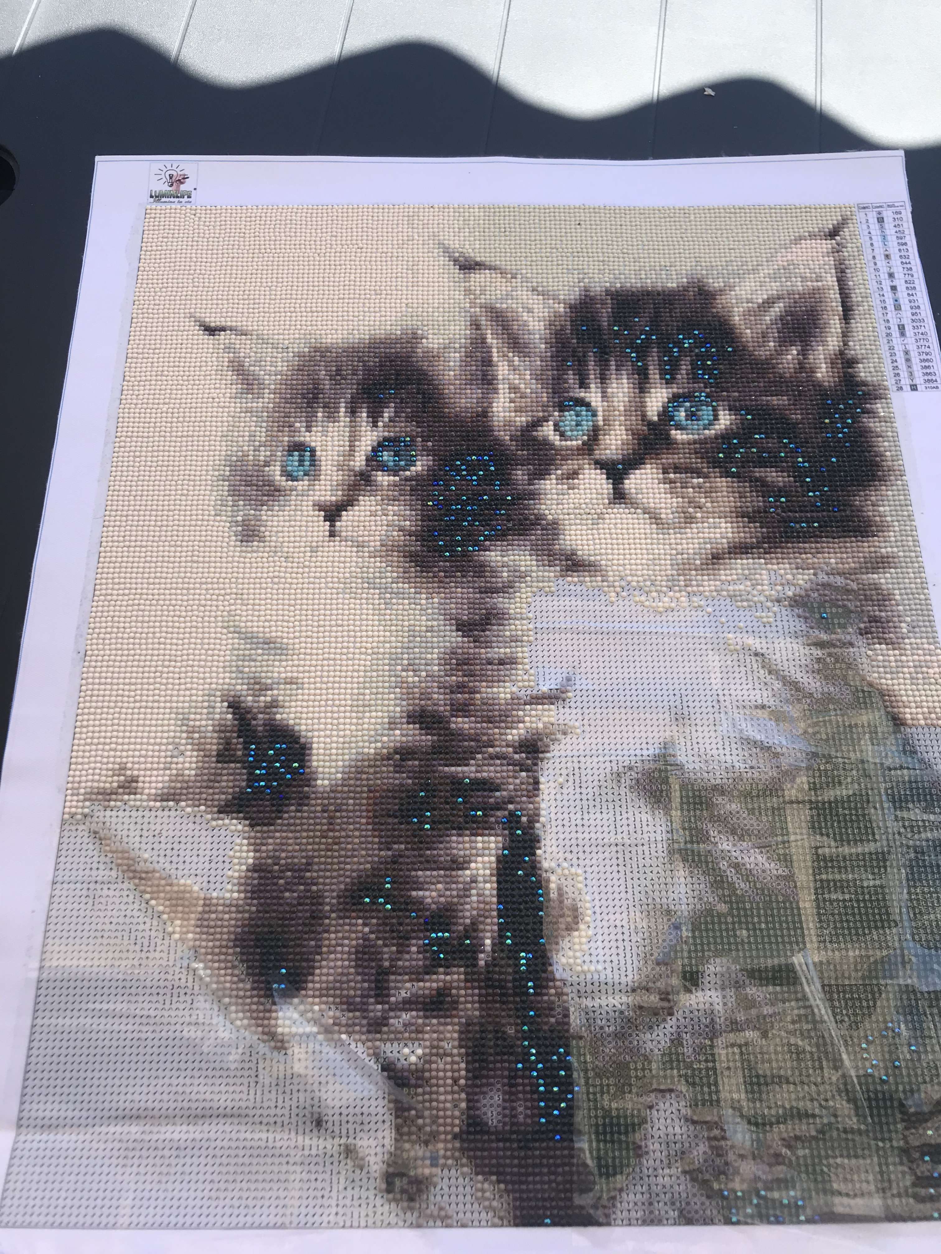 Ils sont trop mignon 
Tableau en strass