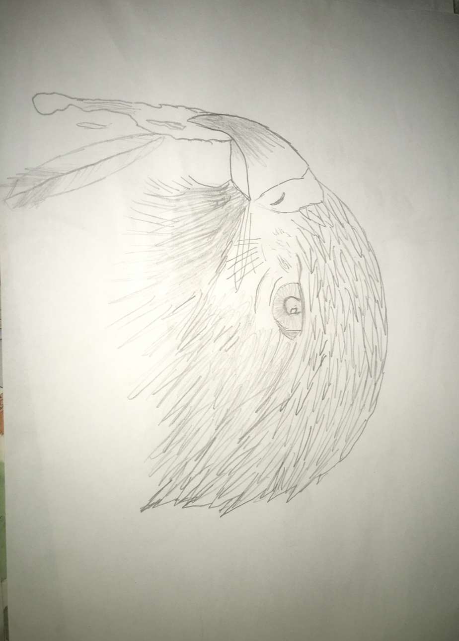 Un dessin