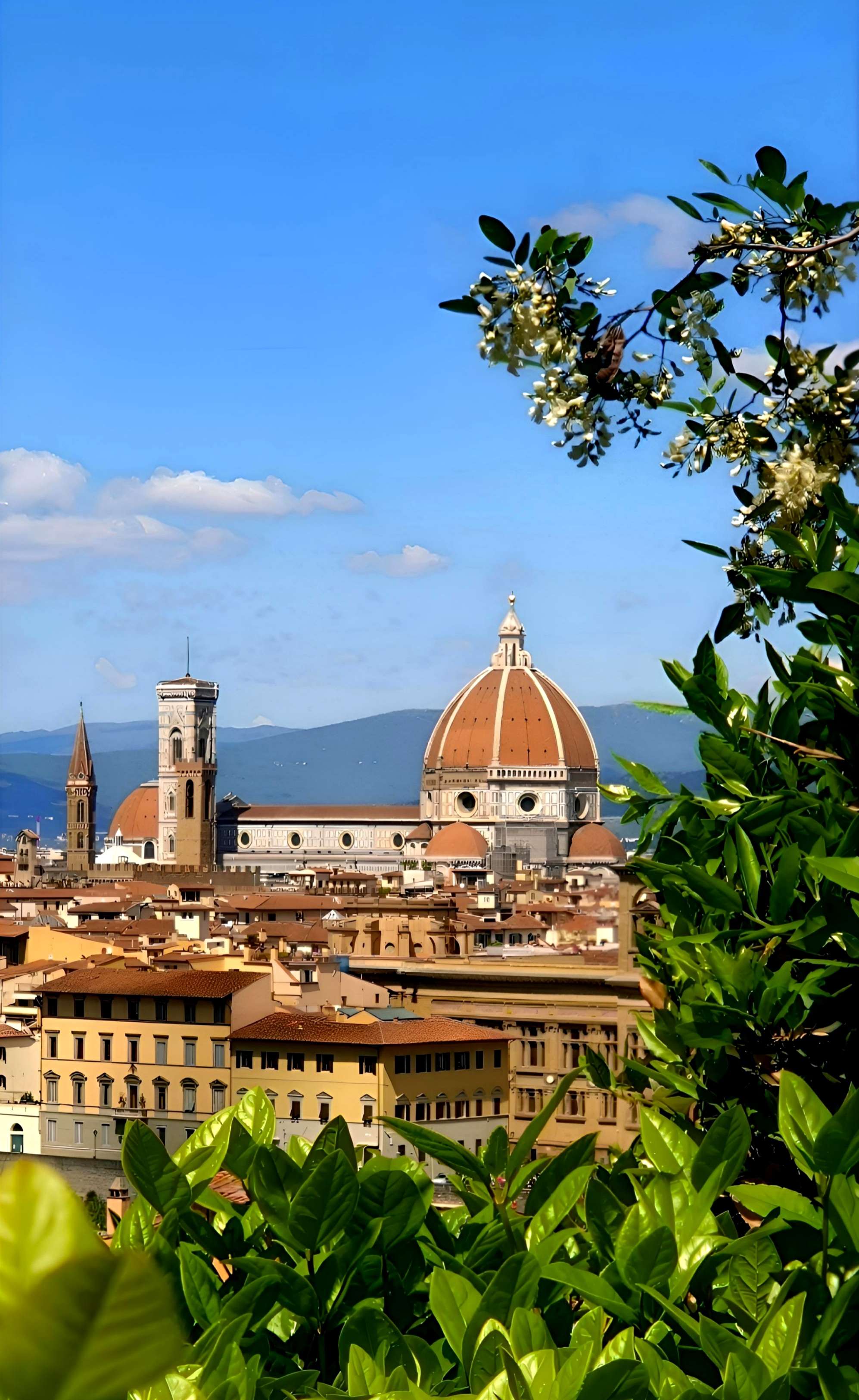 Florence, la plus belle ville italienne, en avril dernier (photo perso) 
Vous y &ecirc;tes d&eacute;j&agrave; all&eacute; ?