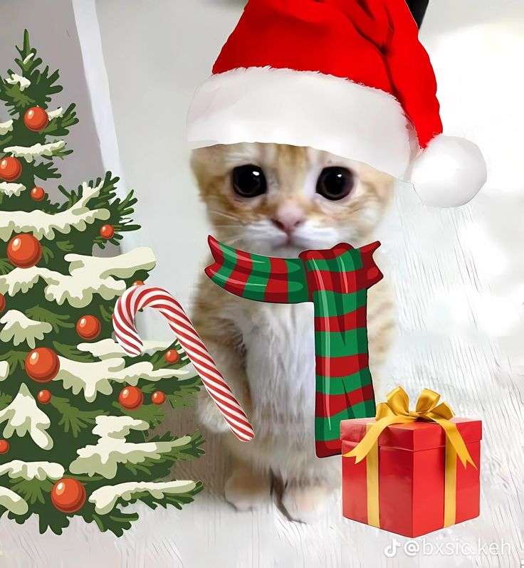 Tomorrow is december 🎄✨️