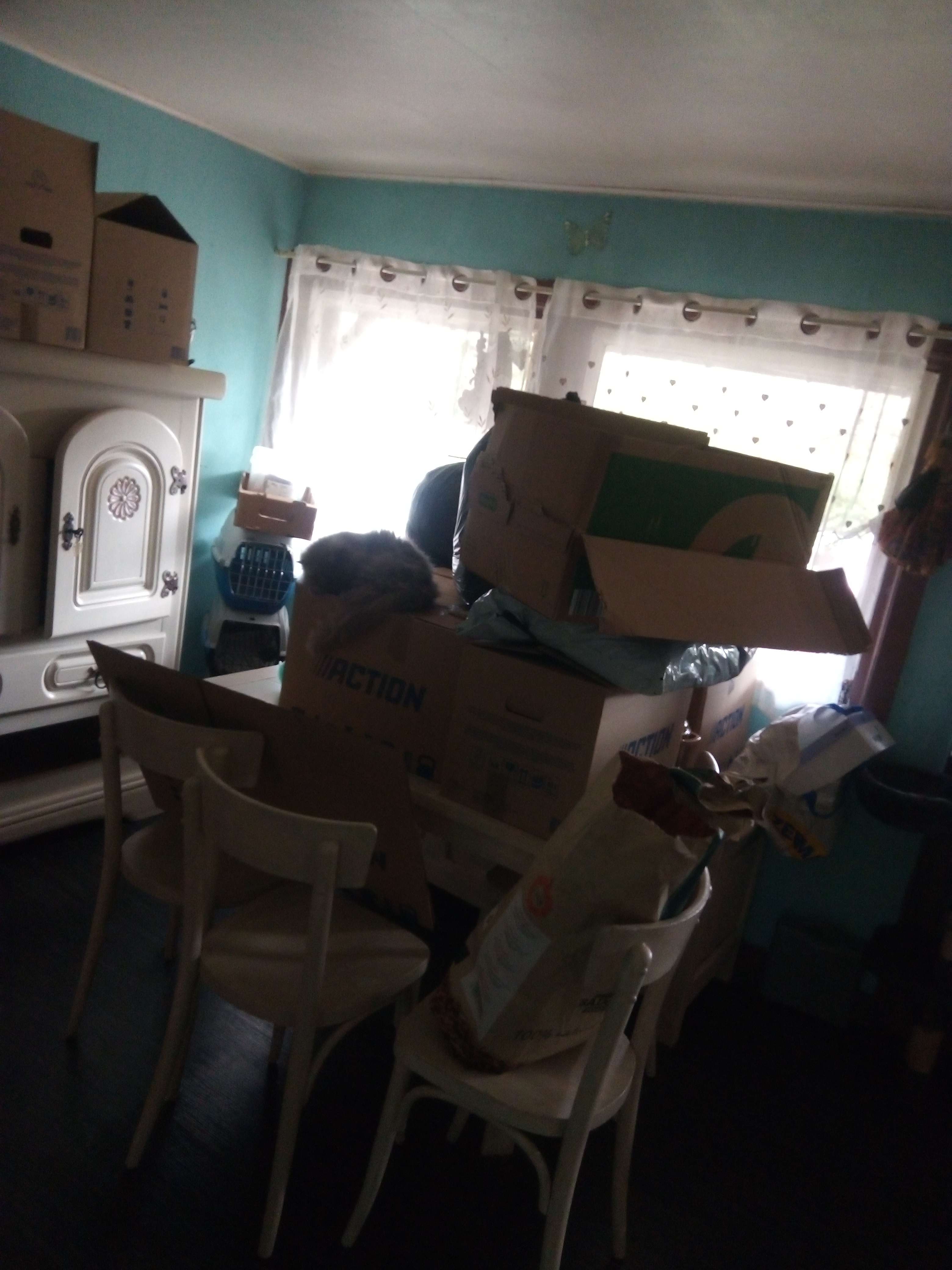La joie un d&eacute;m&eacute;nagement a la va vite plus que 15 avant de partir dans une autre maison  apr&egrave;s 4 ans
