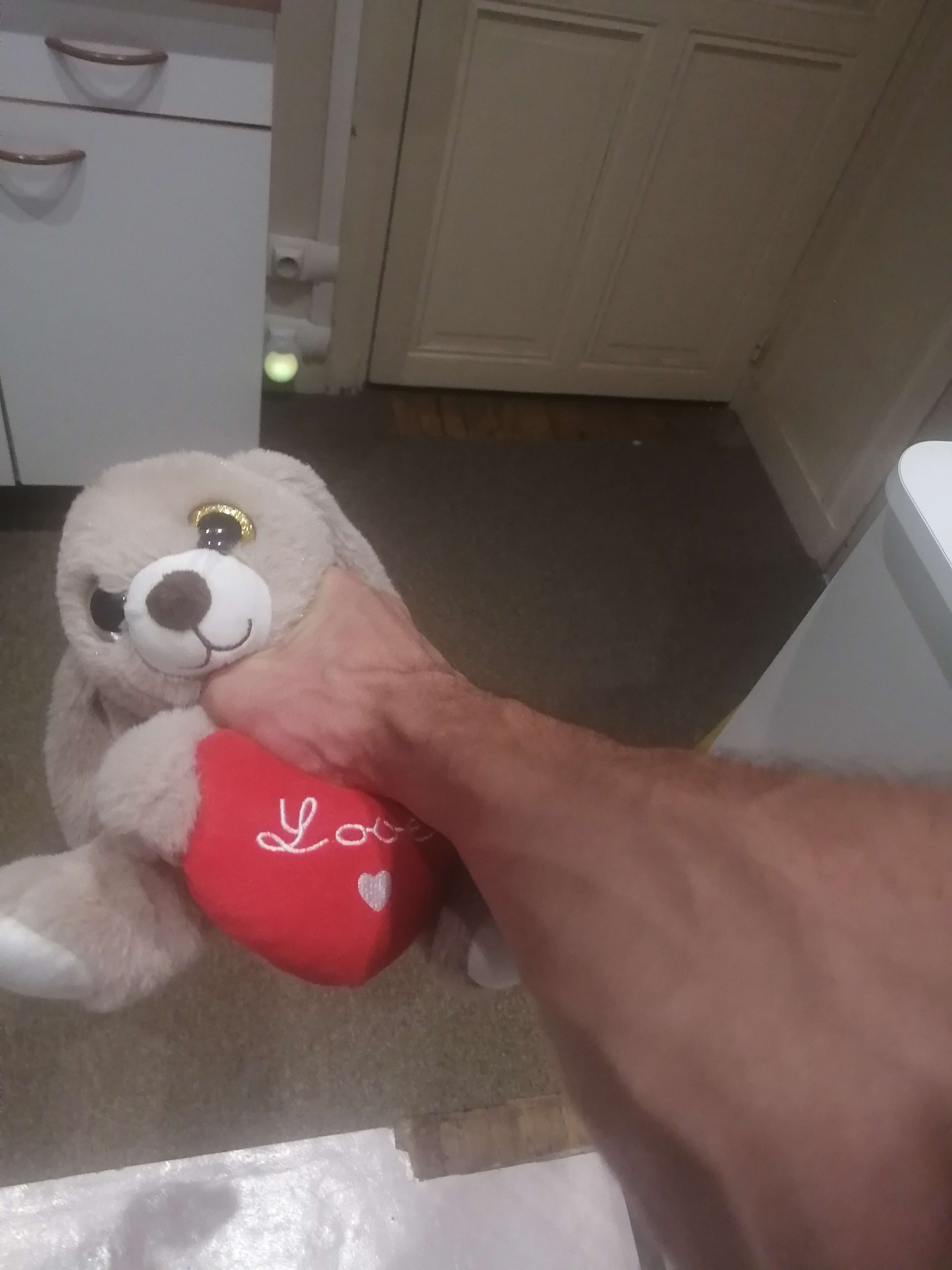 J'viens de retrouver un doudou que mon ex m'avait offert : je vous pr&eacute;sente : El lapinou de la muerte #jevaislegraille