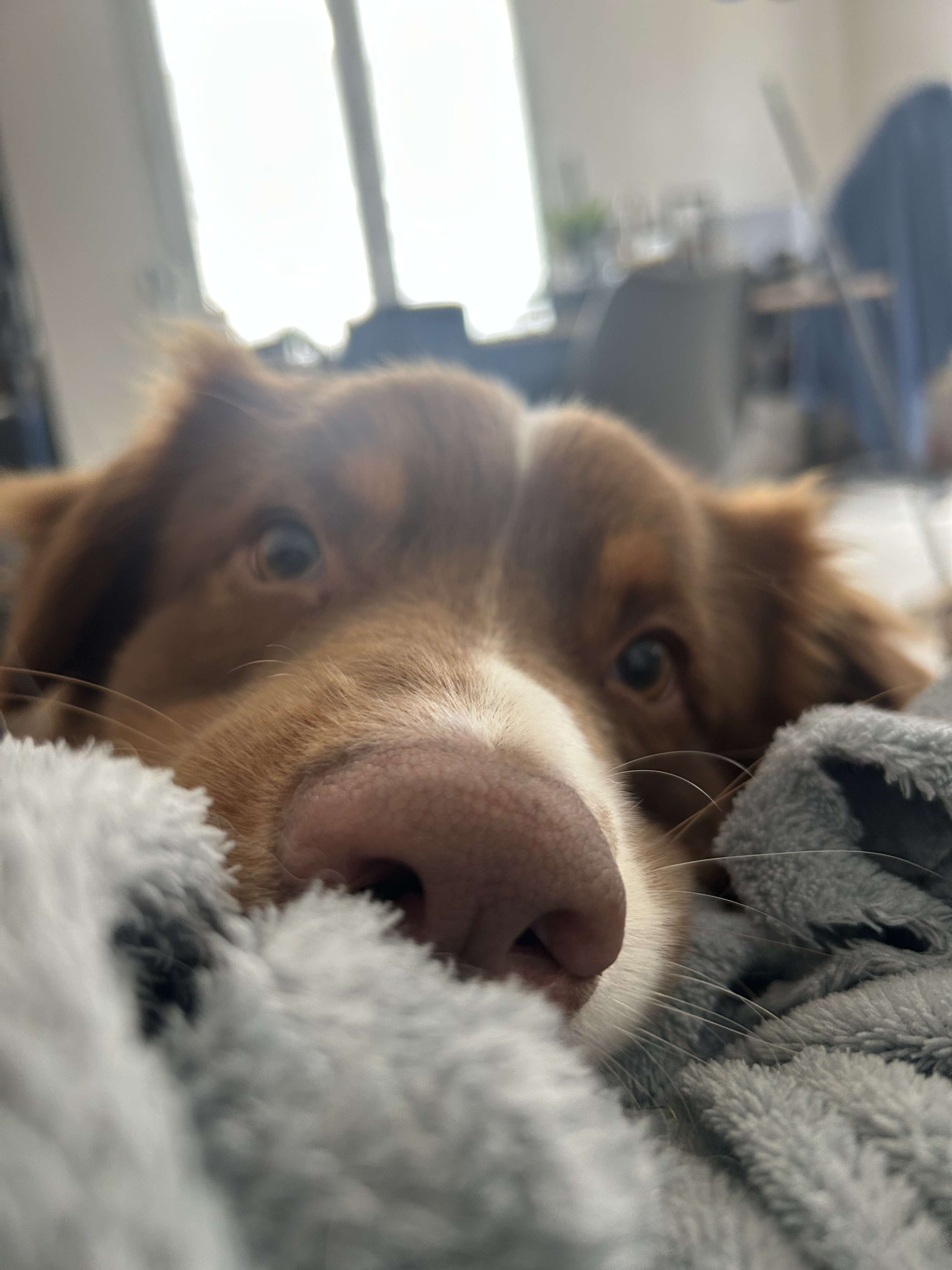 My BFF ❤️ #dog