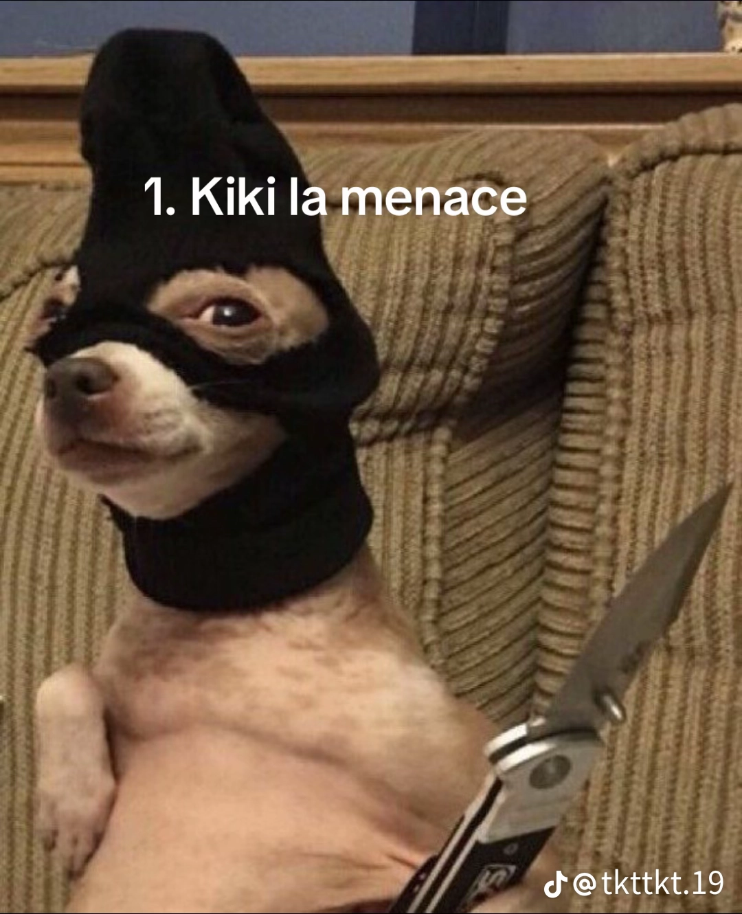 Les gens qui font des postes du style "Je m'appelle ****** je suis ***** je cherche quelqu'un ". ARR&Ecirc;TEZ S'IL VOUS PLA&Icirc;T, c'est pas Leboncoin !
(Sinon j'envoie Kiki chez vous)