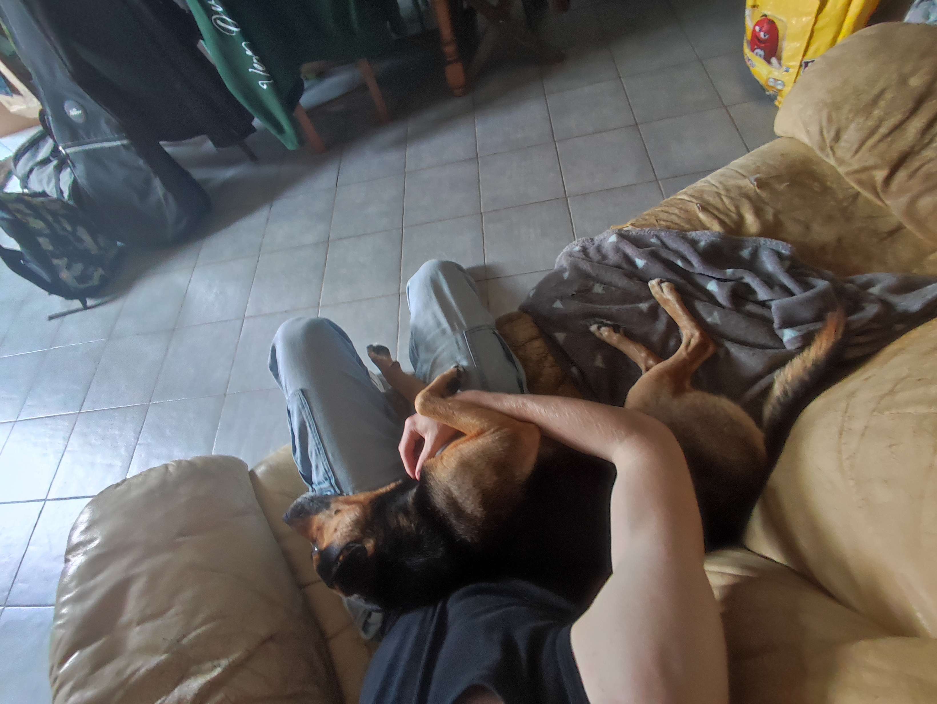 #chien 
Il se met bien l&agrave;, le chieng