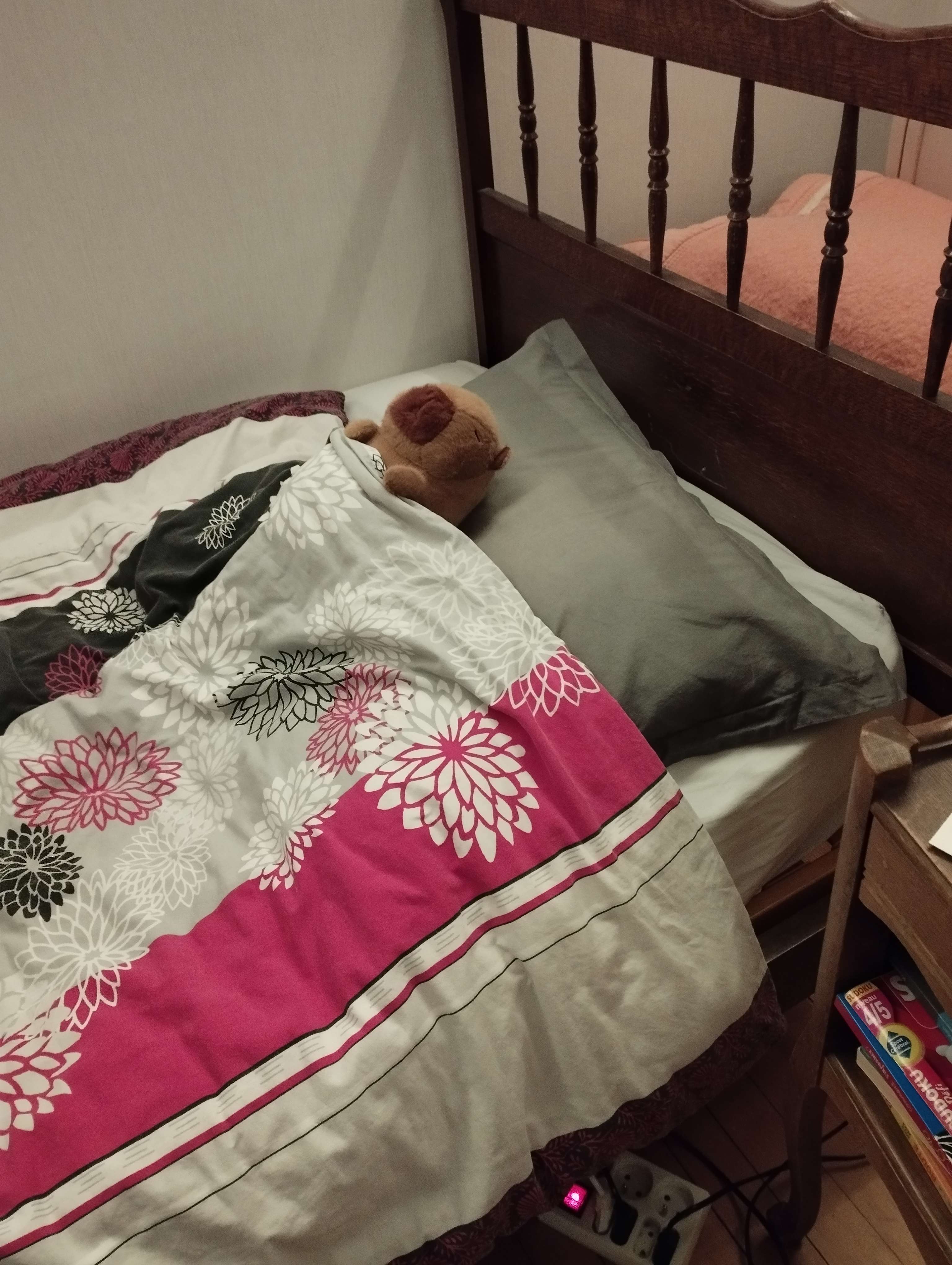 Apr&egrave;s 15 jours dans mon appart &eacute;tudiant je rentre chez moi pour le weekend, et voil&agrave; comment je retrouve mon doudou🤣🤣 j'ai plus ma place ici on dirait 😭🤣