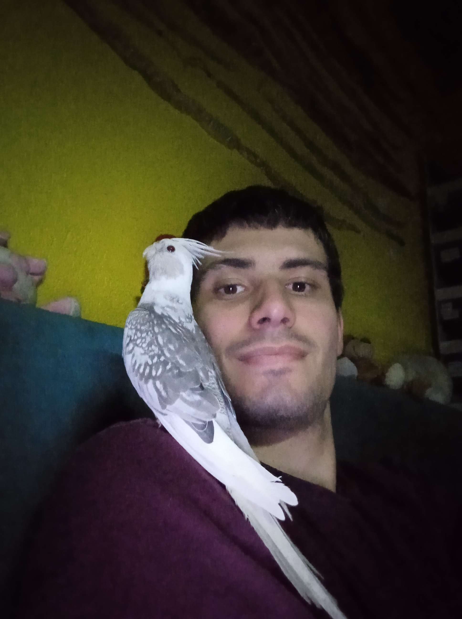 Ma belle dame blanche.