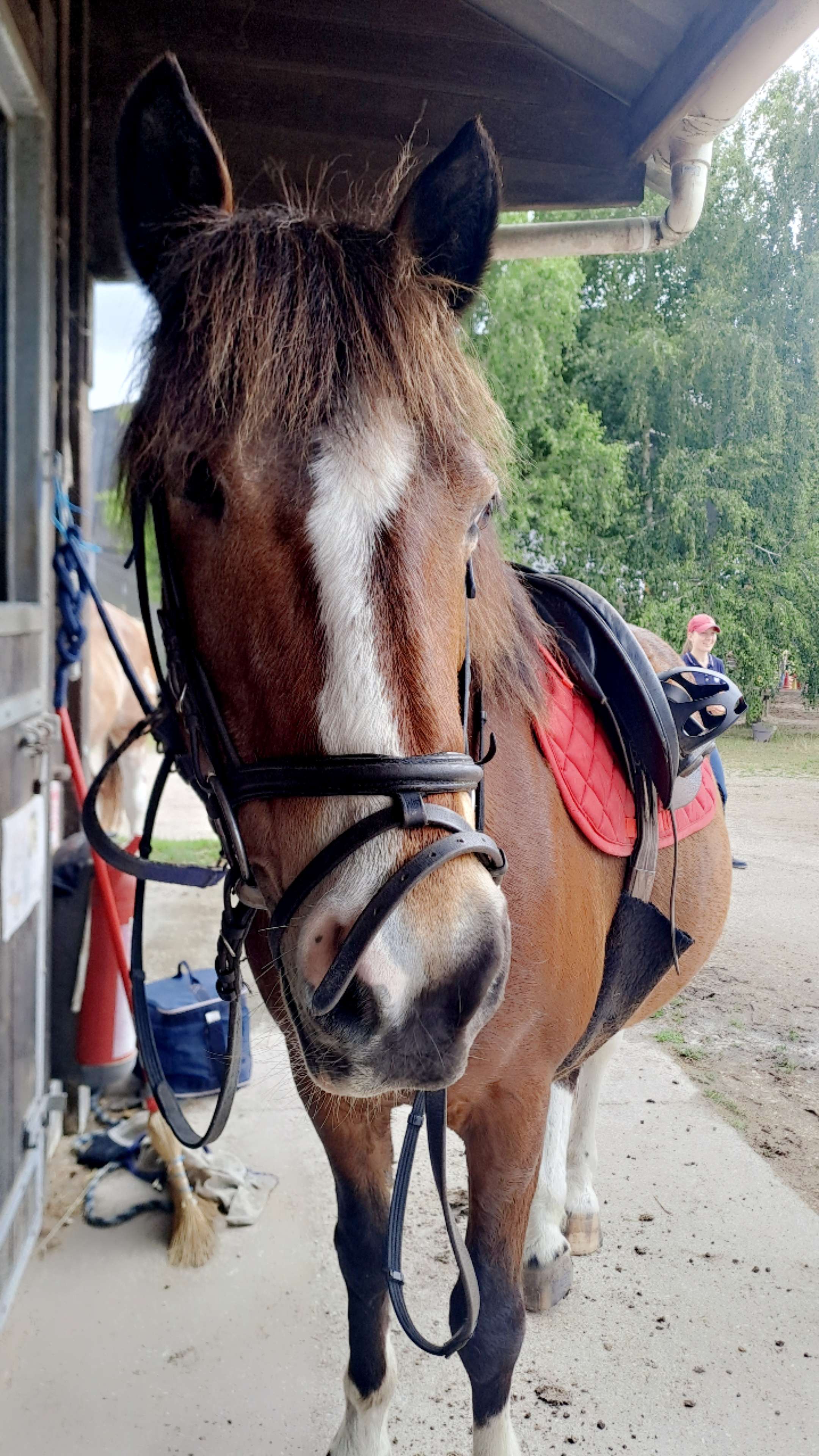 Mon chouchou🥰