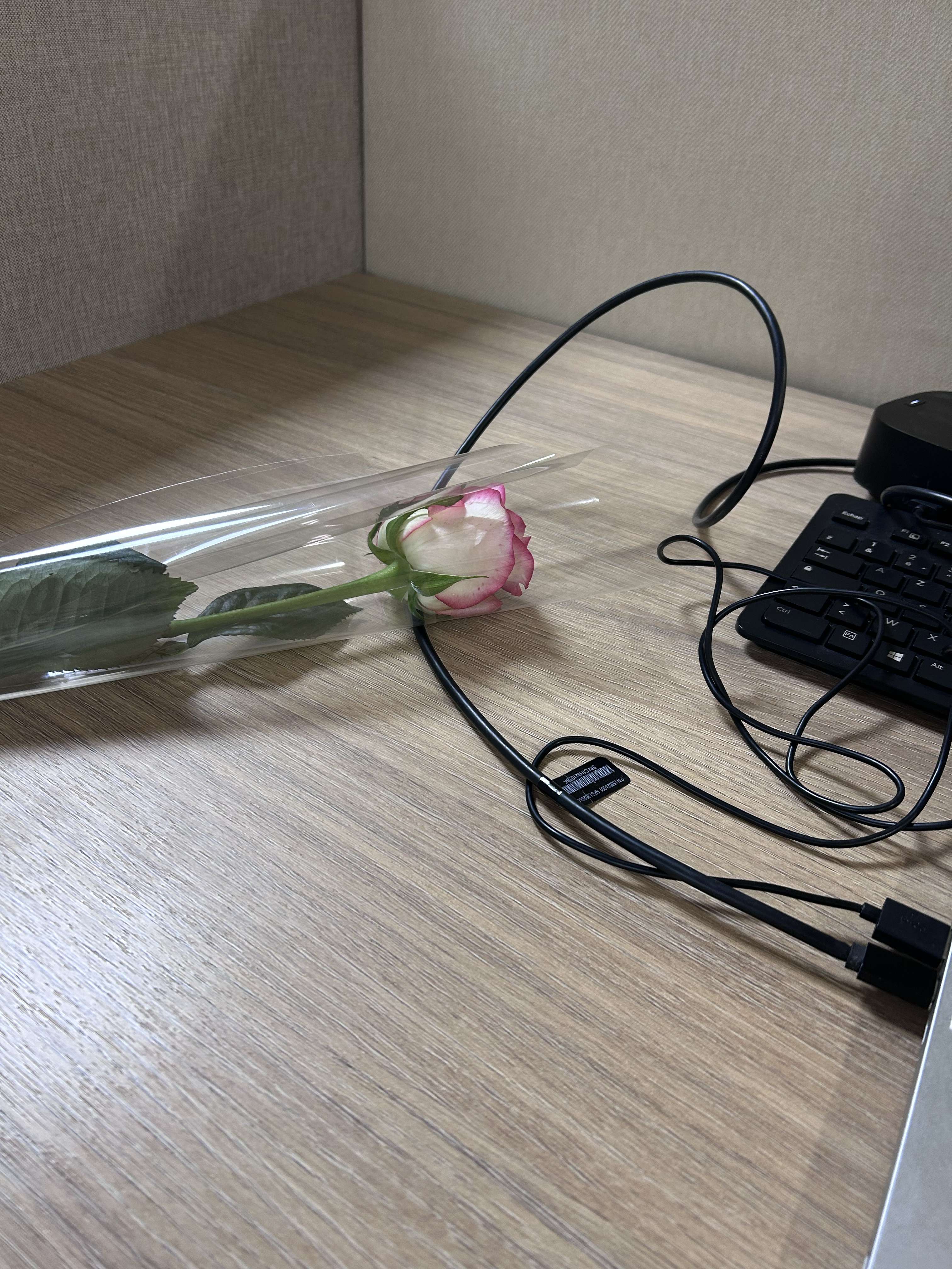 Mais wtf c&rsquo;est le pot de d&eacute;part d&rsquo;un coll&egrave;gue, il a ramen&eacute; une rose pour chaque femme