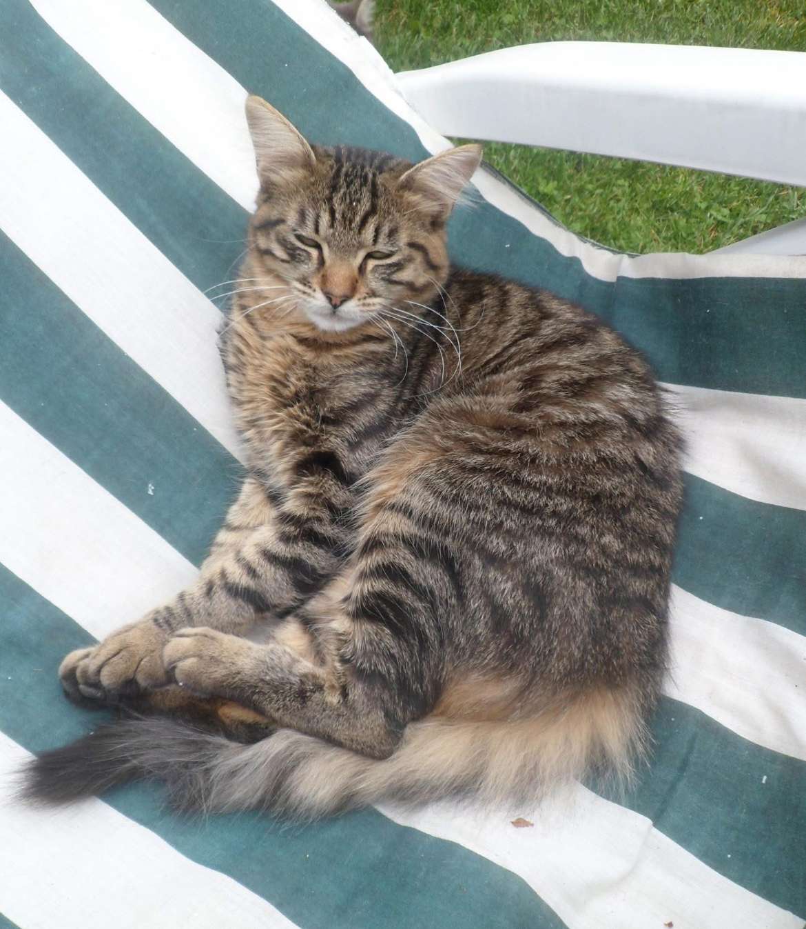 J&rsquo;en ai jamais parler mais ce beau doudou l&agrave; c&rsquo;&eacute;tait Kirikou mon chat (attrap&eacute; pas ma veste j&rsquo;avais 13ans et vous allez comprendre apr&egrave;s) 😆😆