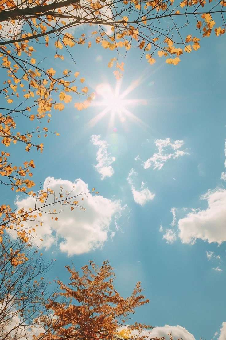 Il suffit d&rsquo;un rayon de soleil pour illuminer une journ&eacute;e. ☀️