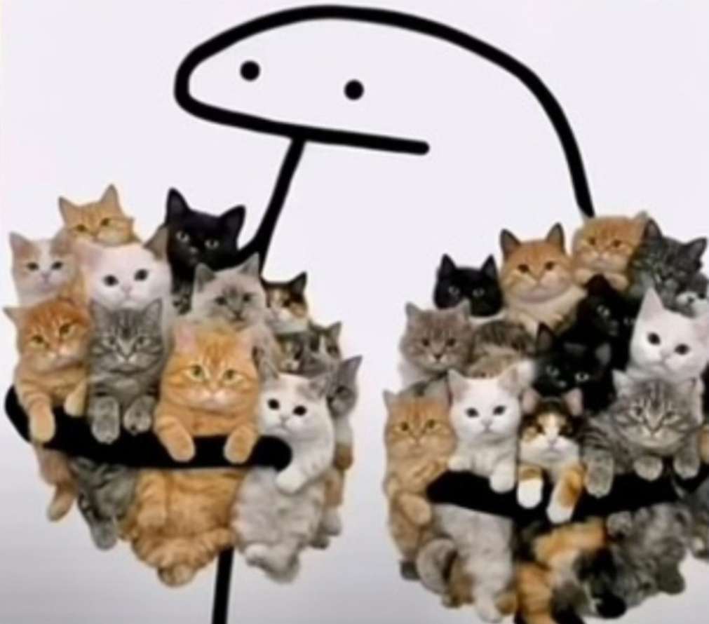 Je vais essayer d'&ecirc;tre gentil aujourd'hui
Chat pour tout le monde, je garde Chadolf Liti&egrave;re